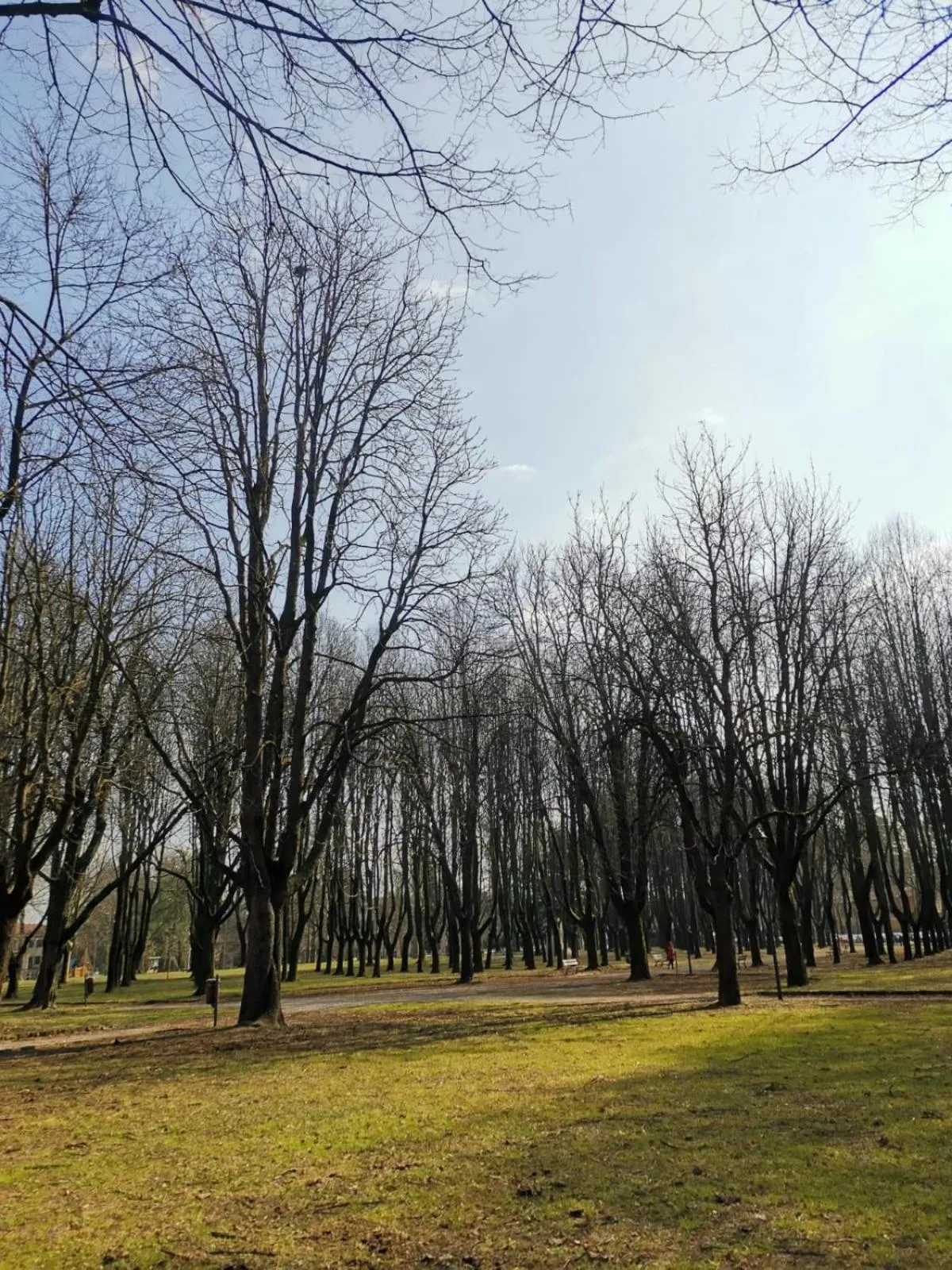 LT - Room's Bed & Living