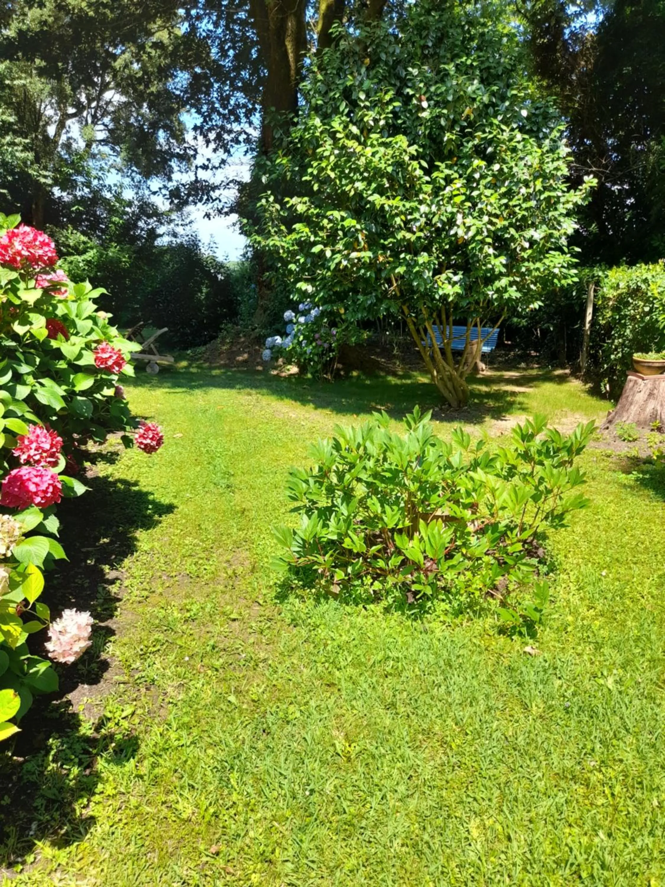 Garden in La Clairière du Seignanx
