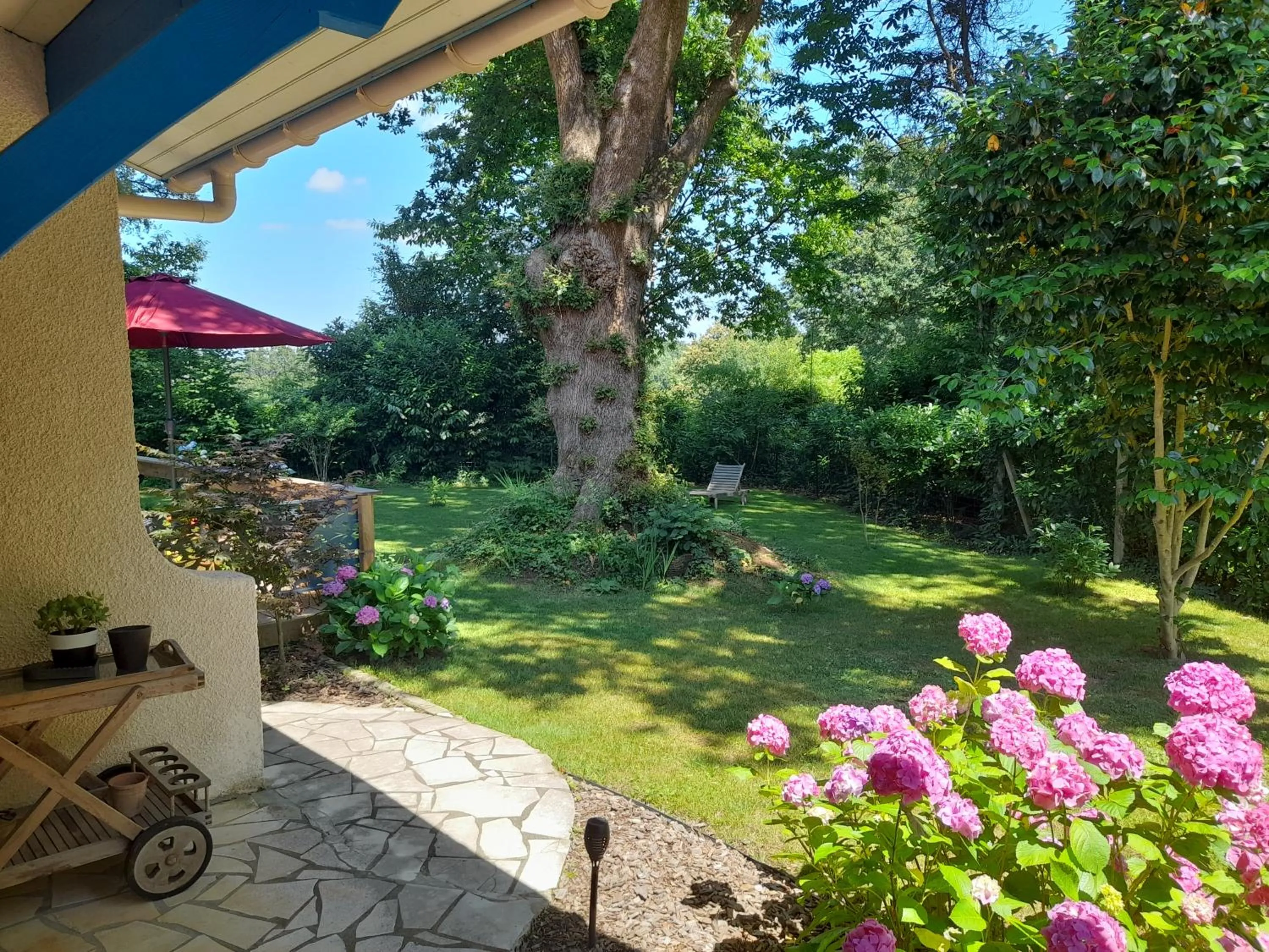 Garden in La Clairière du Seignanx