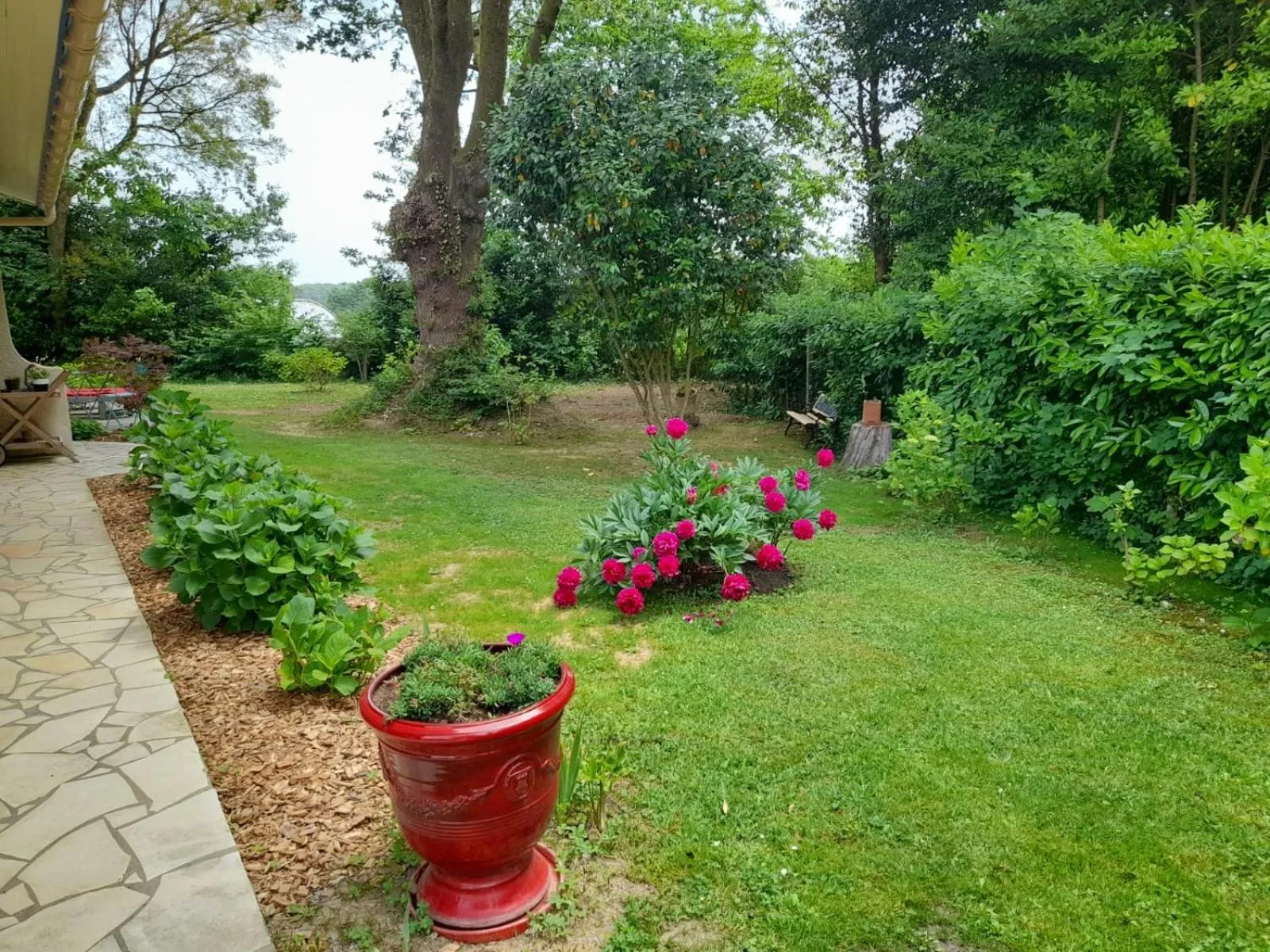 Garden in La Clairière du Seignanx