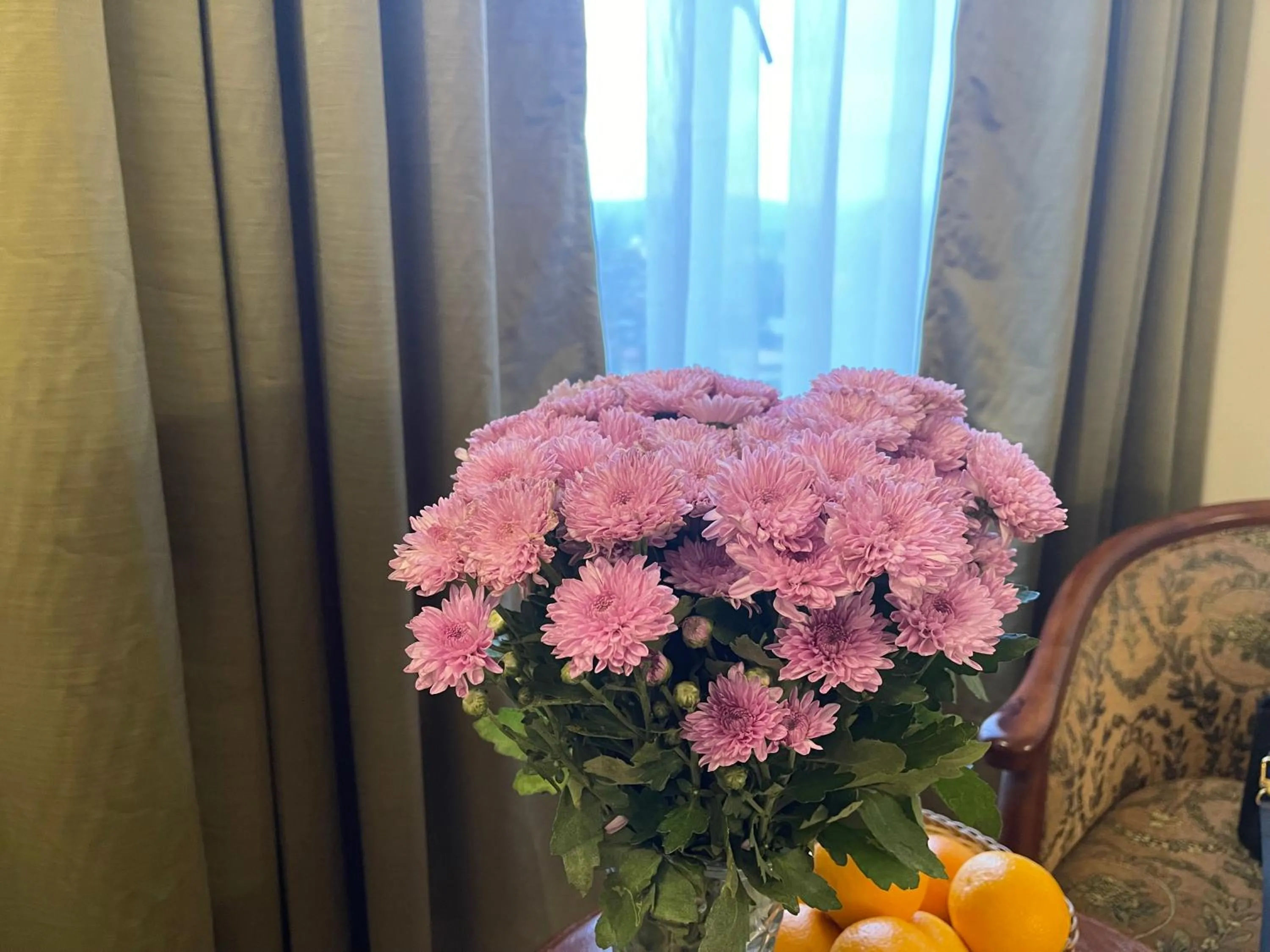 View (from property/room) in Hotel Pegasus Crown