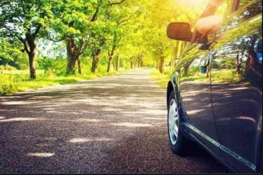 Day in Polo Cherrapunjee Resort