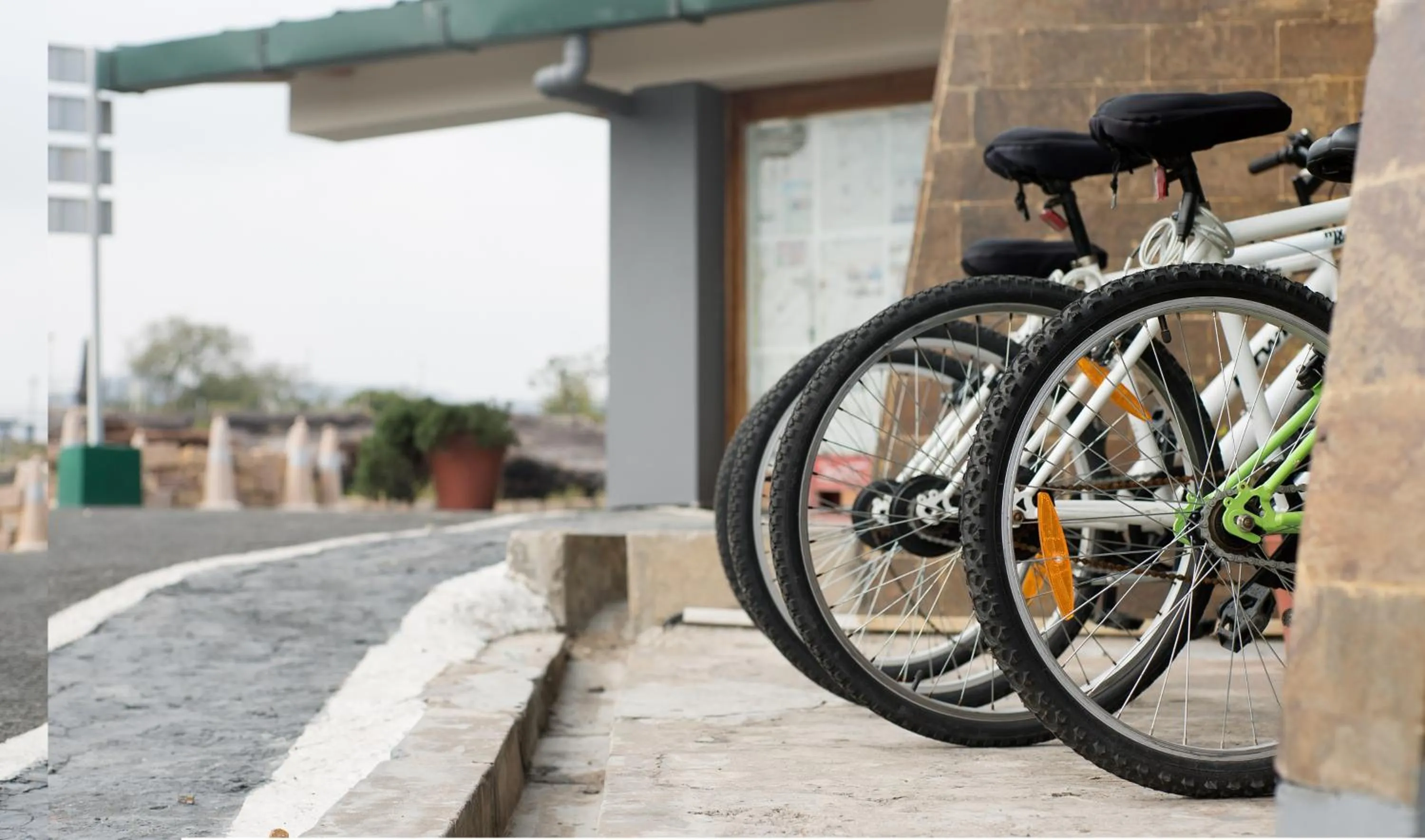 Day in Polo Cherrapunjee Resort