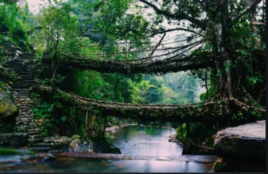 Natural landscape in Polo Cherrapunjee Resort