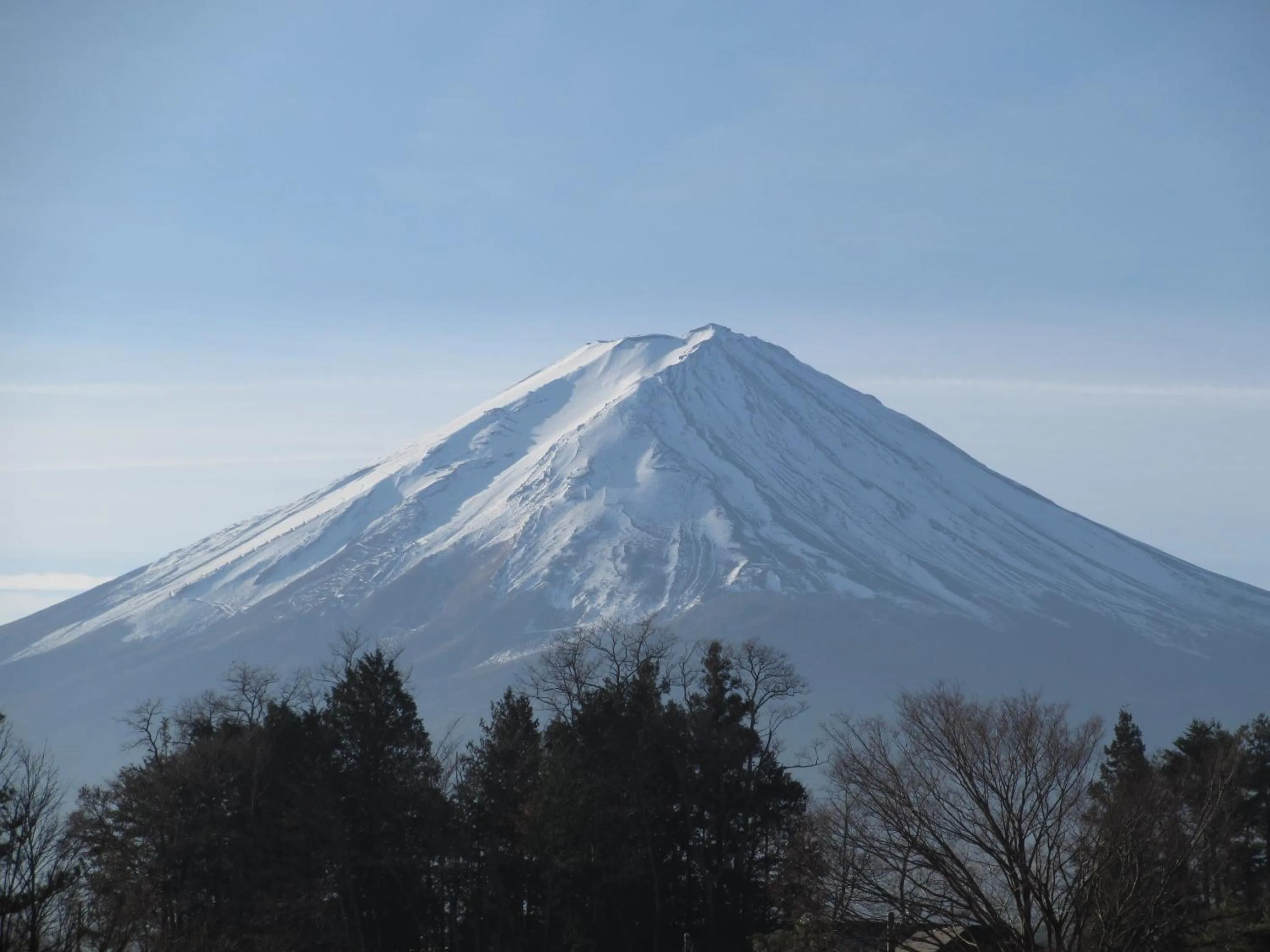 Natural landscape in Lakeland Hotel Mizunosato