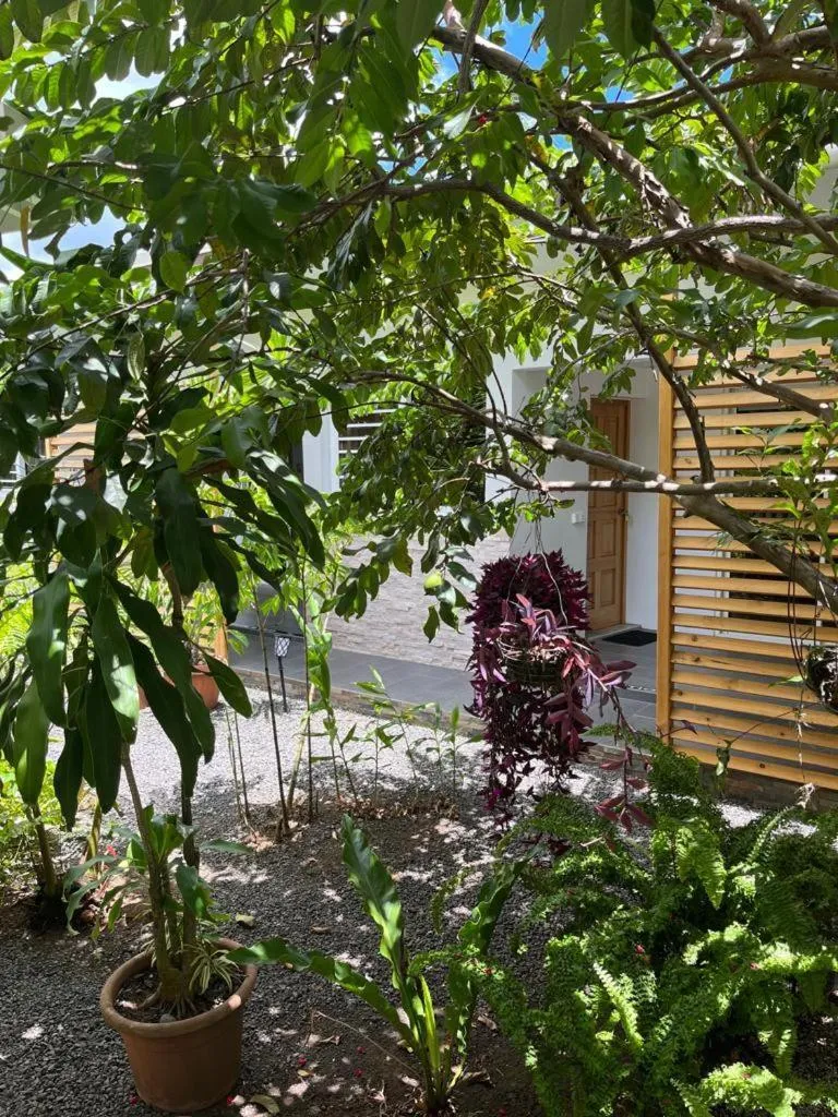 Property building in Pare LODGE TAHITI