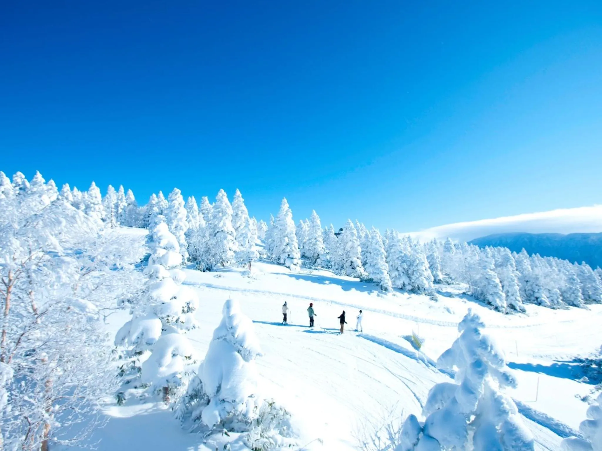 Area and facilities in Shigakogen Prince Hotel