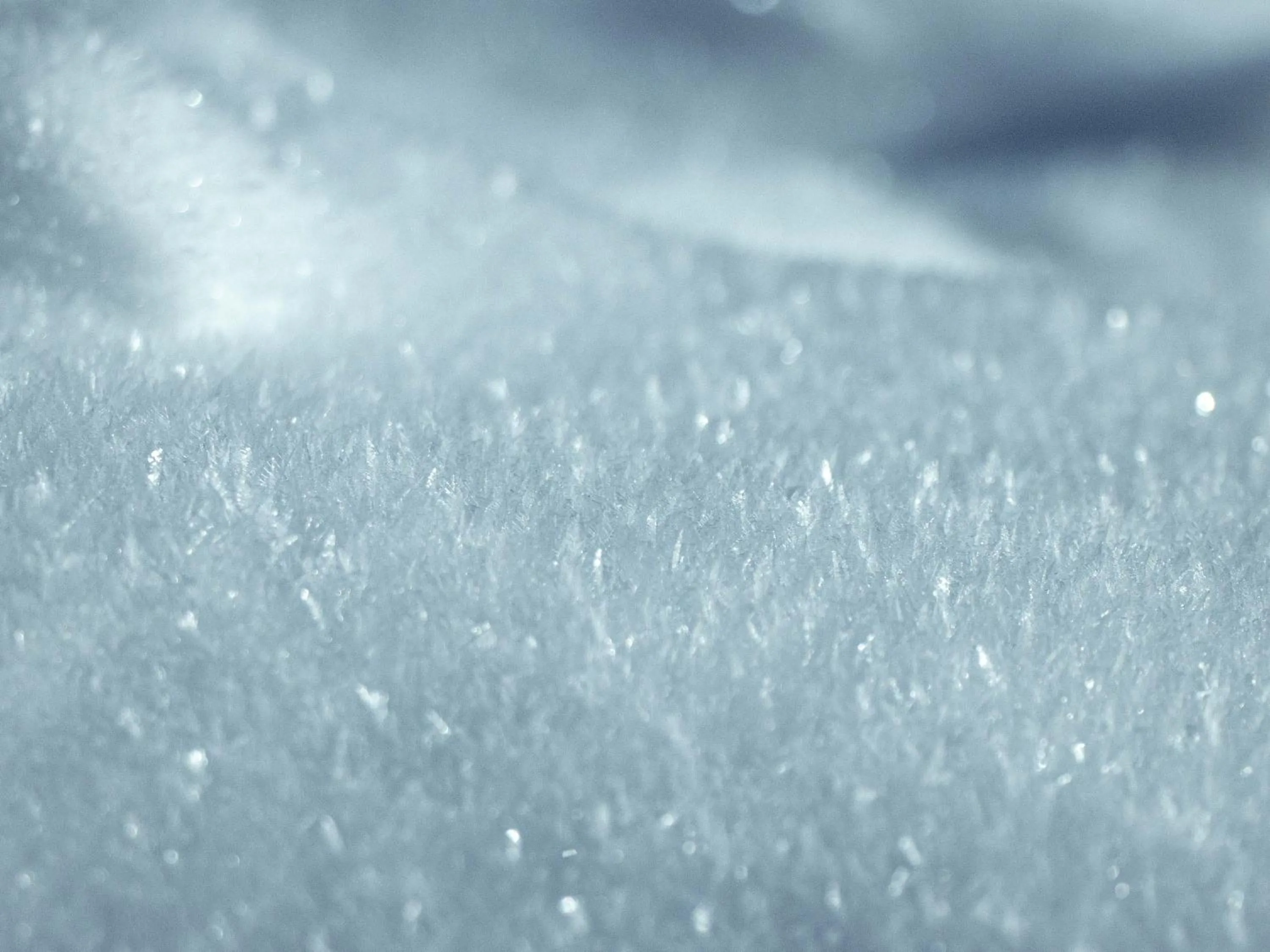 Skiing in Shigakogen Prince Hotel