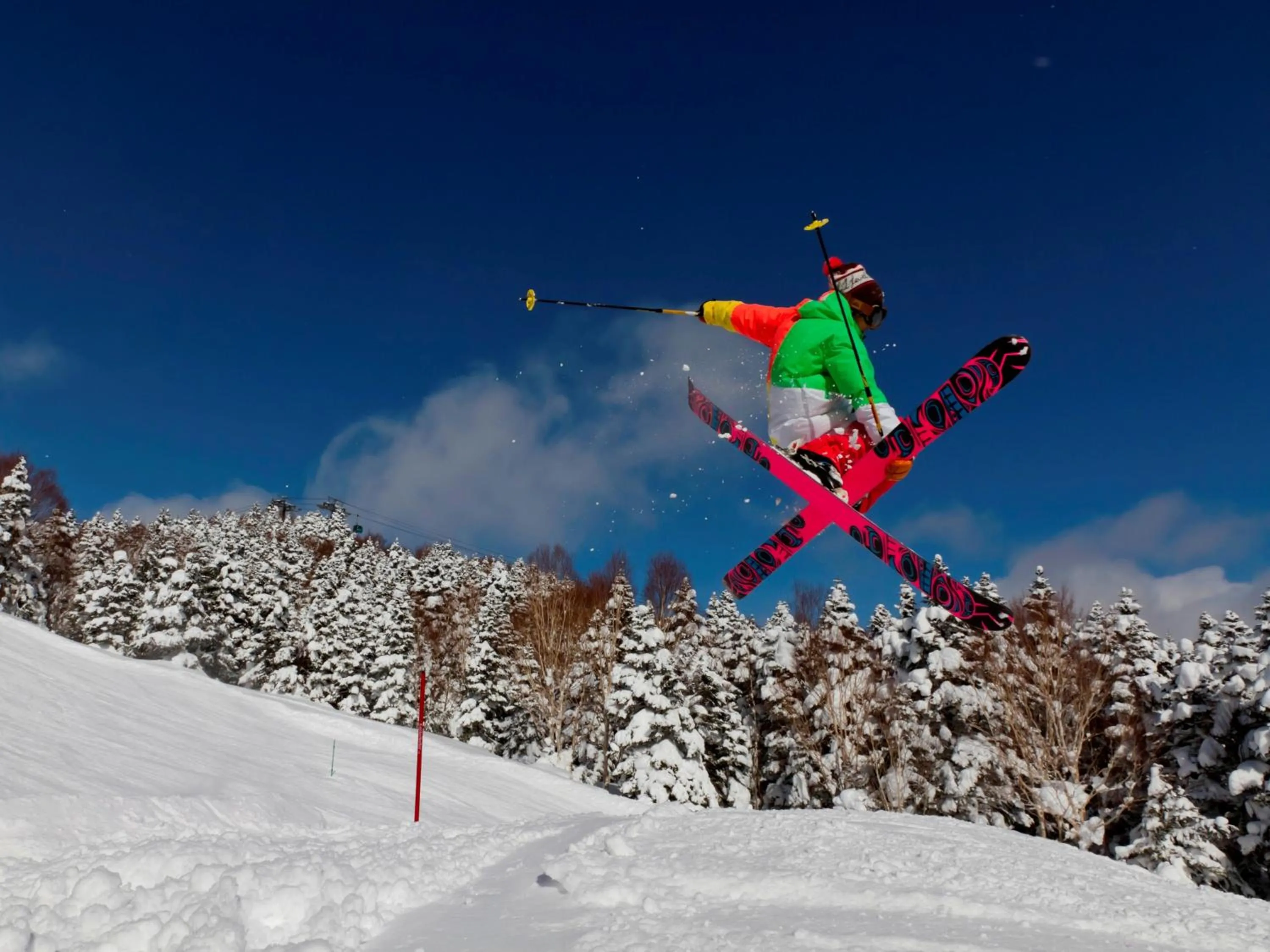 Other in Shigakogen Prince Hotel
