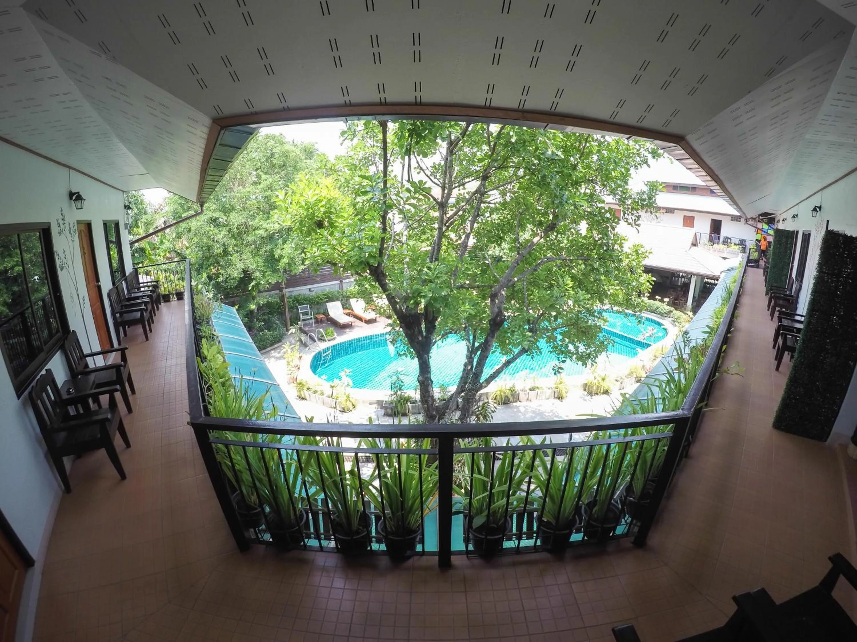Balcony/Terrace in Medio De Pai