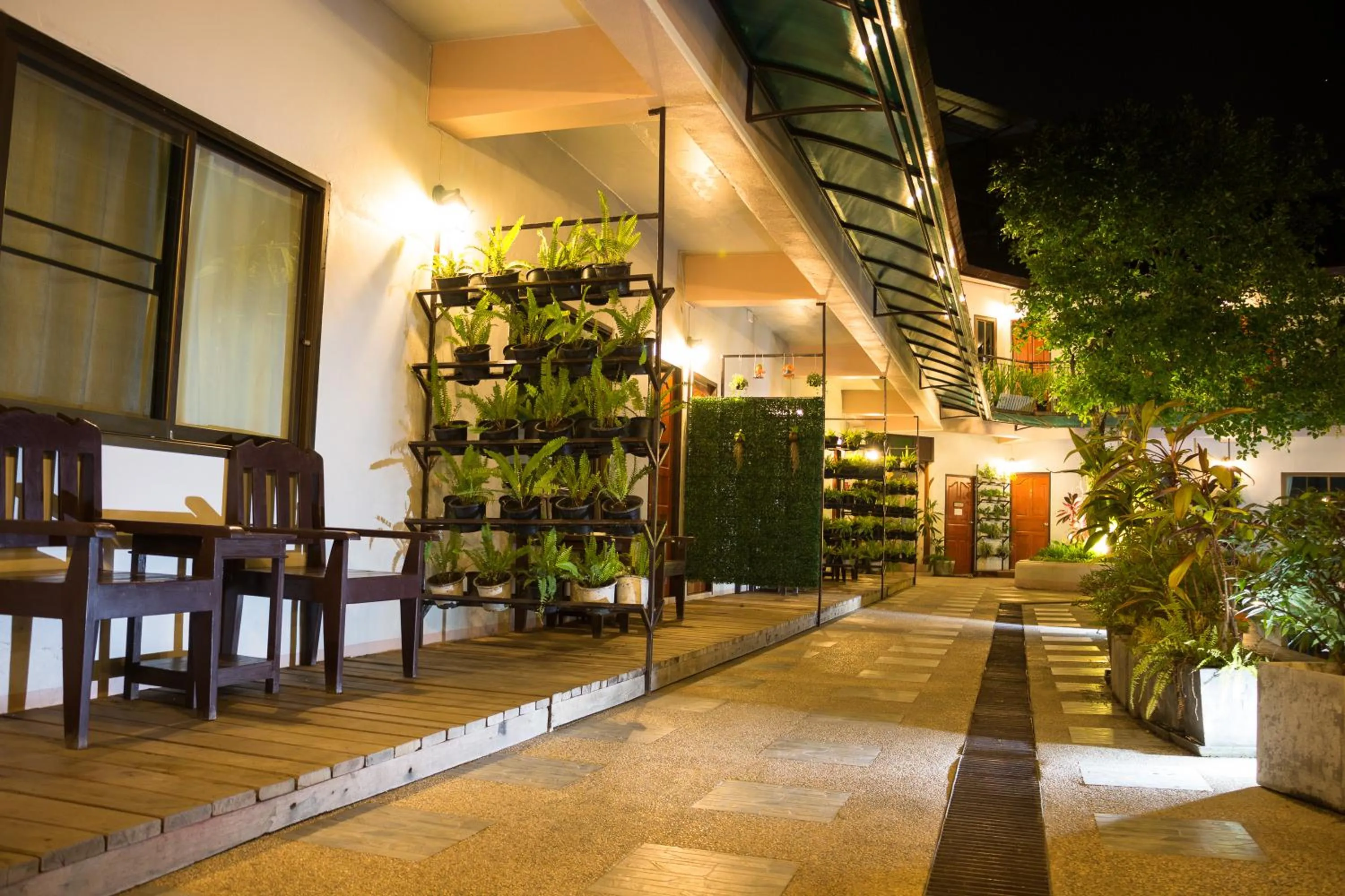 Night in Medio De Pai