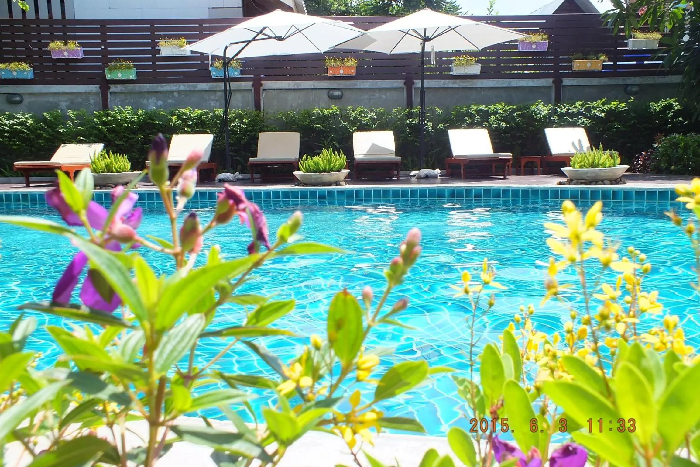 Swimming pool in Medio De Pai