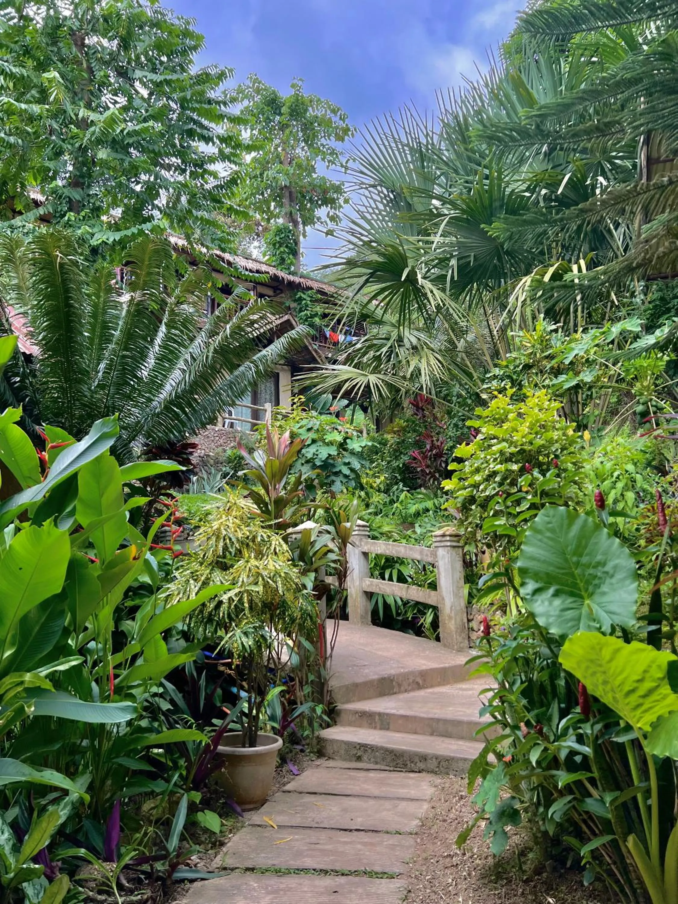 Garden in Novie's Tourist Inn