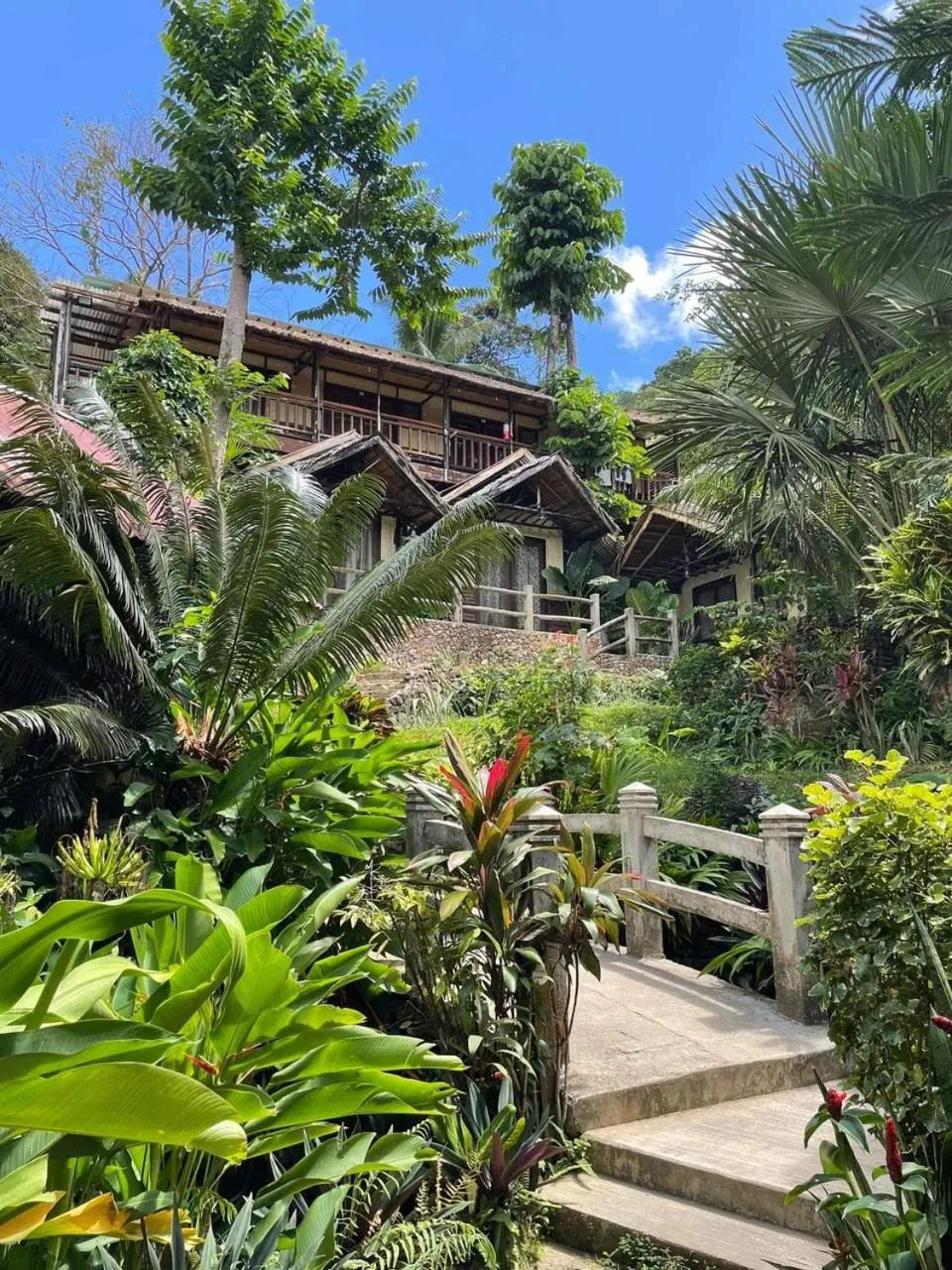 Property Building in Novie's Tourist Inn