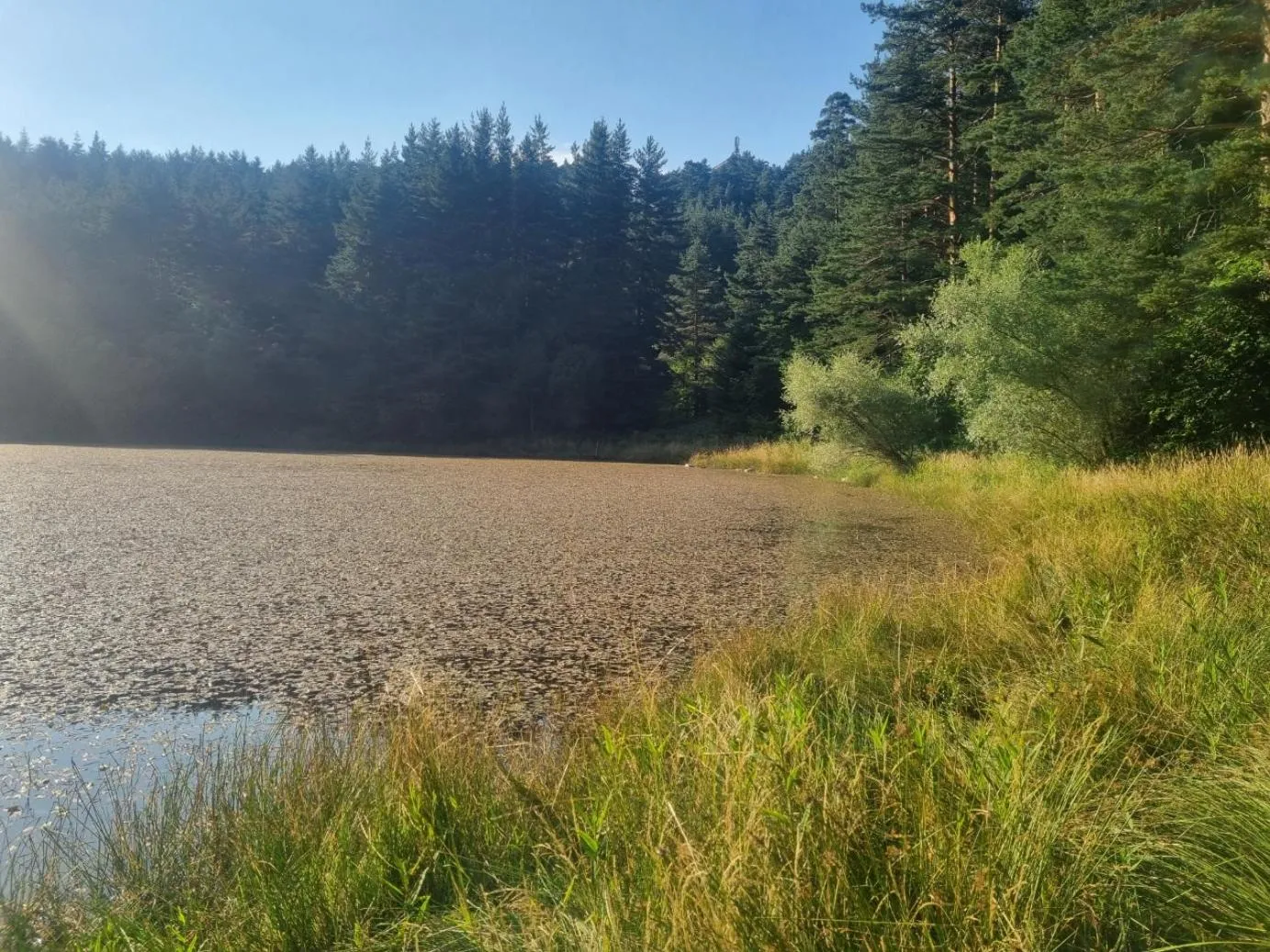 RILA 6ATO Hotel & Restaurant