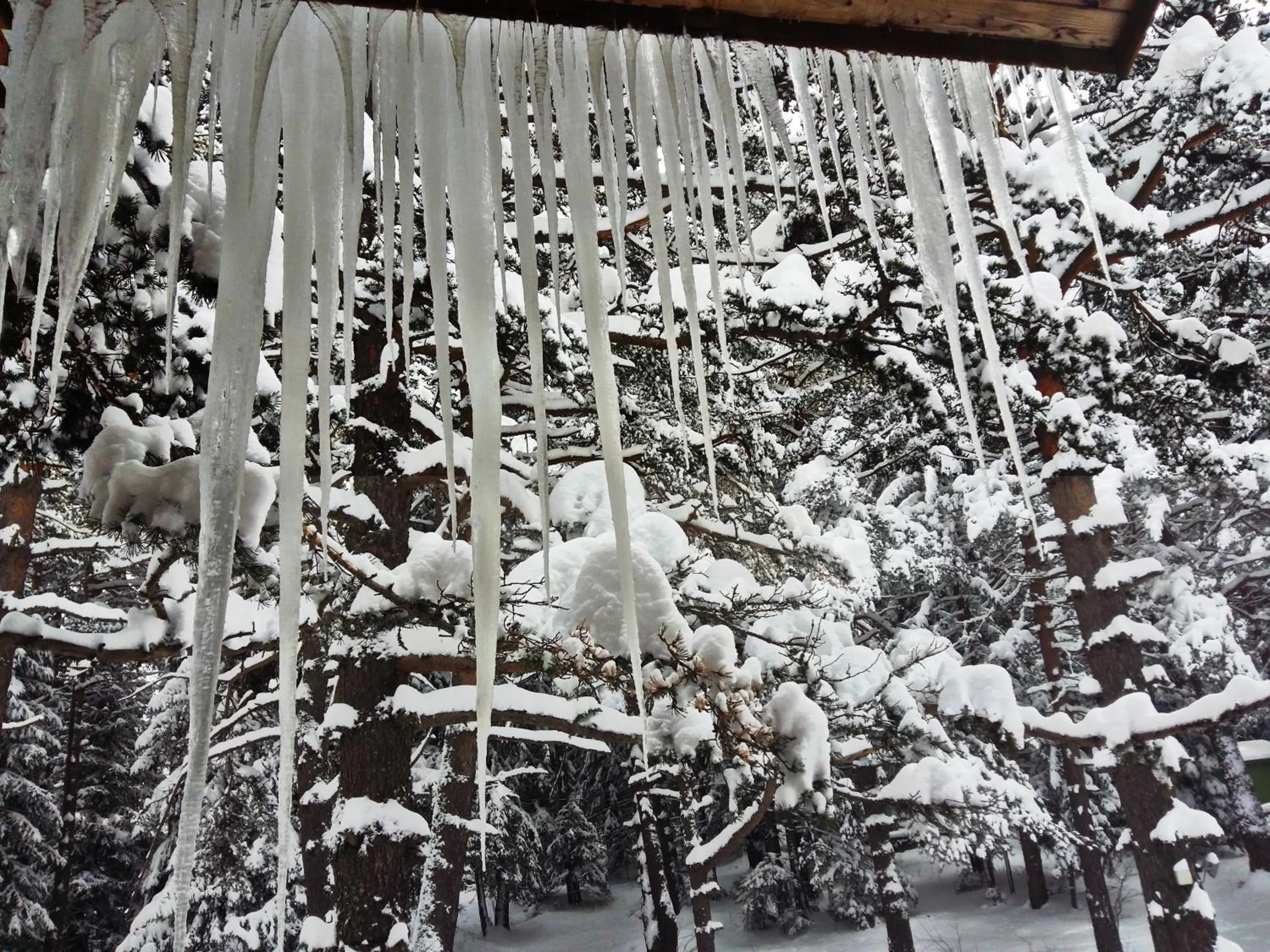 Mountain view in RILA 6ATO Hotel & Restaurant