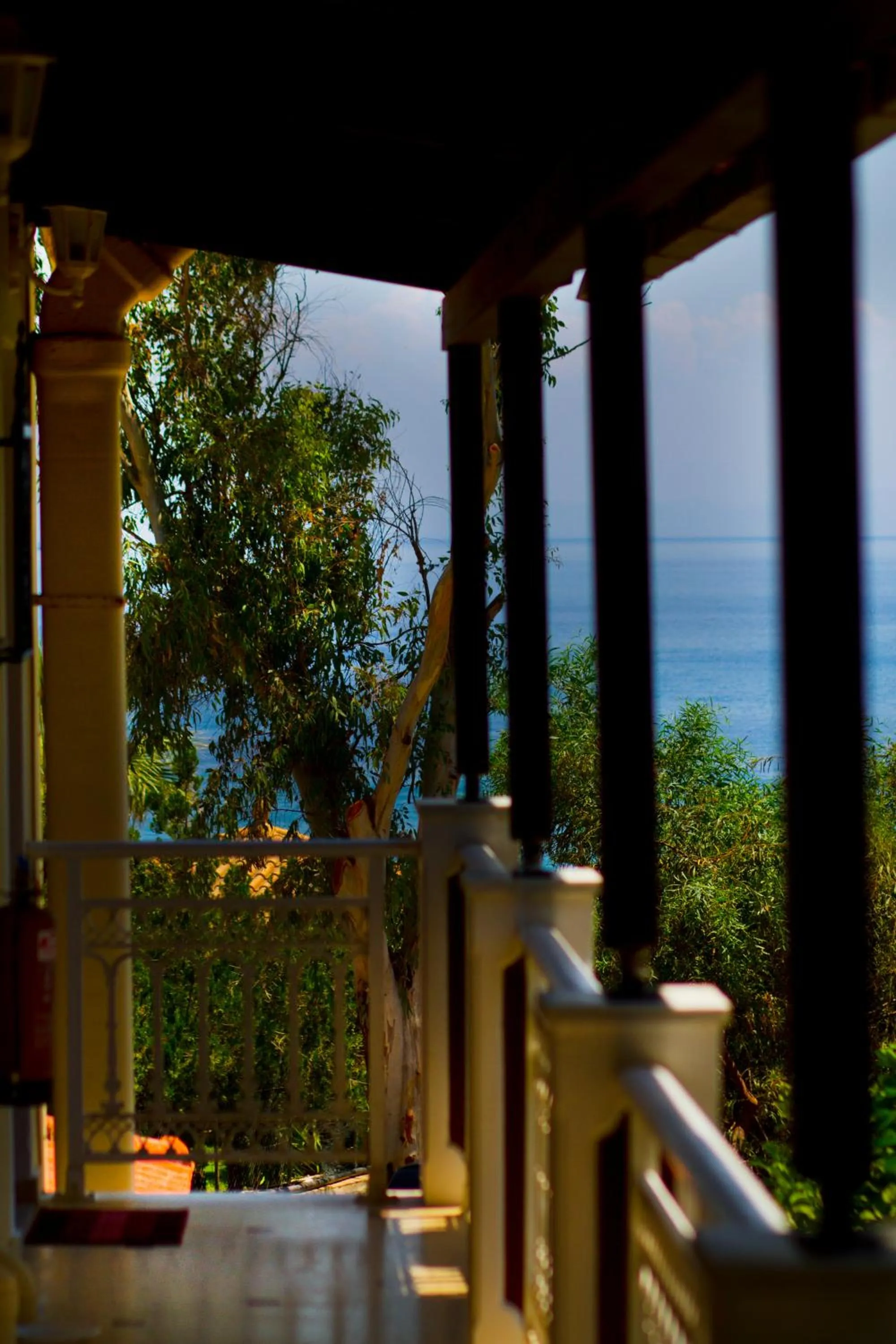 Balcony/Terrace in Pyrgaraki Studios and Apartments