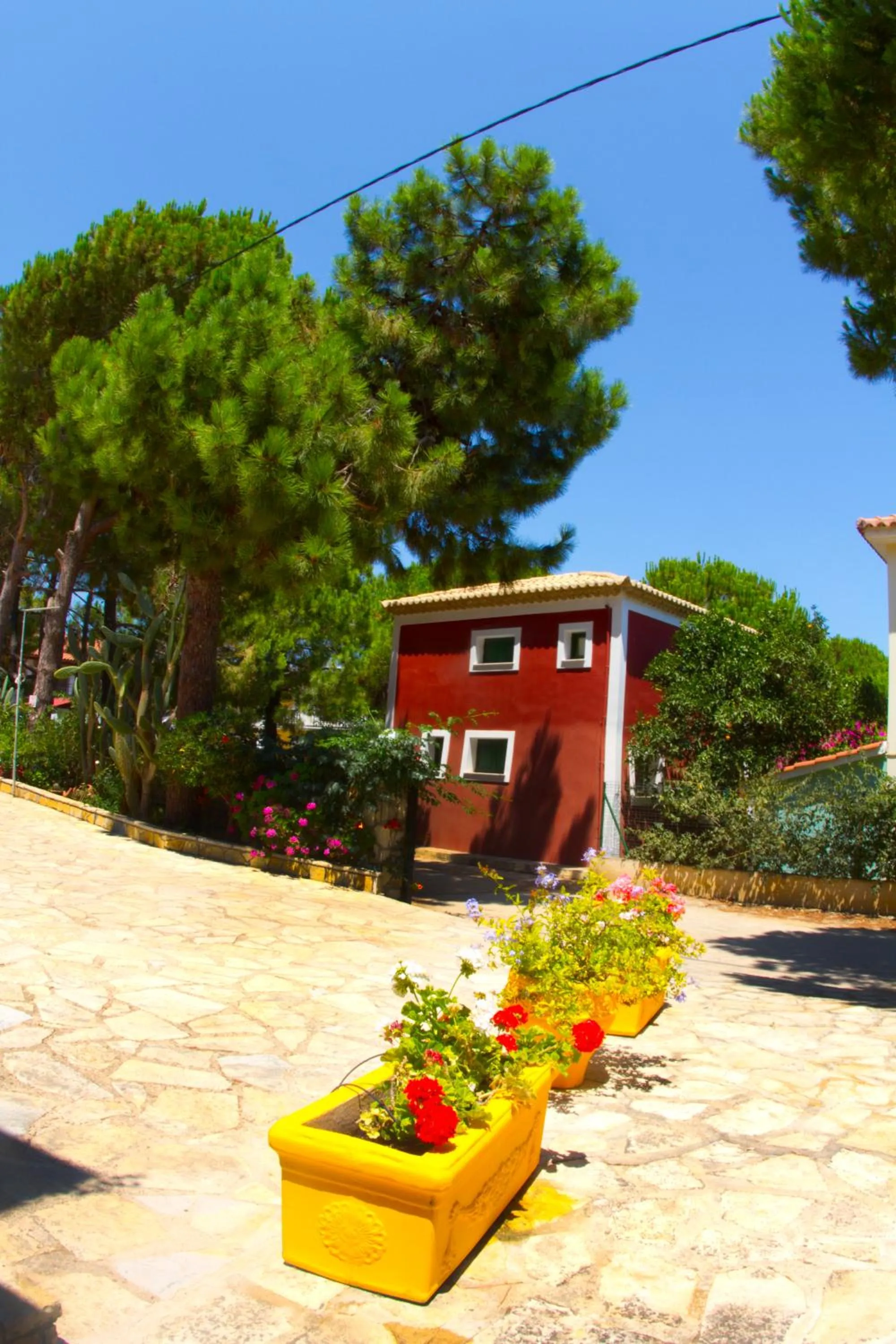 Garden in Pyrgaraki Studios and Apartments