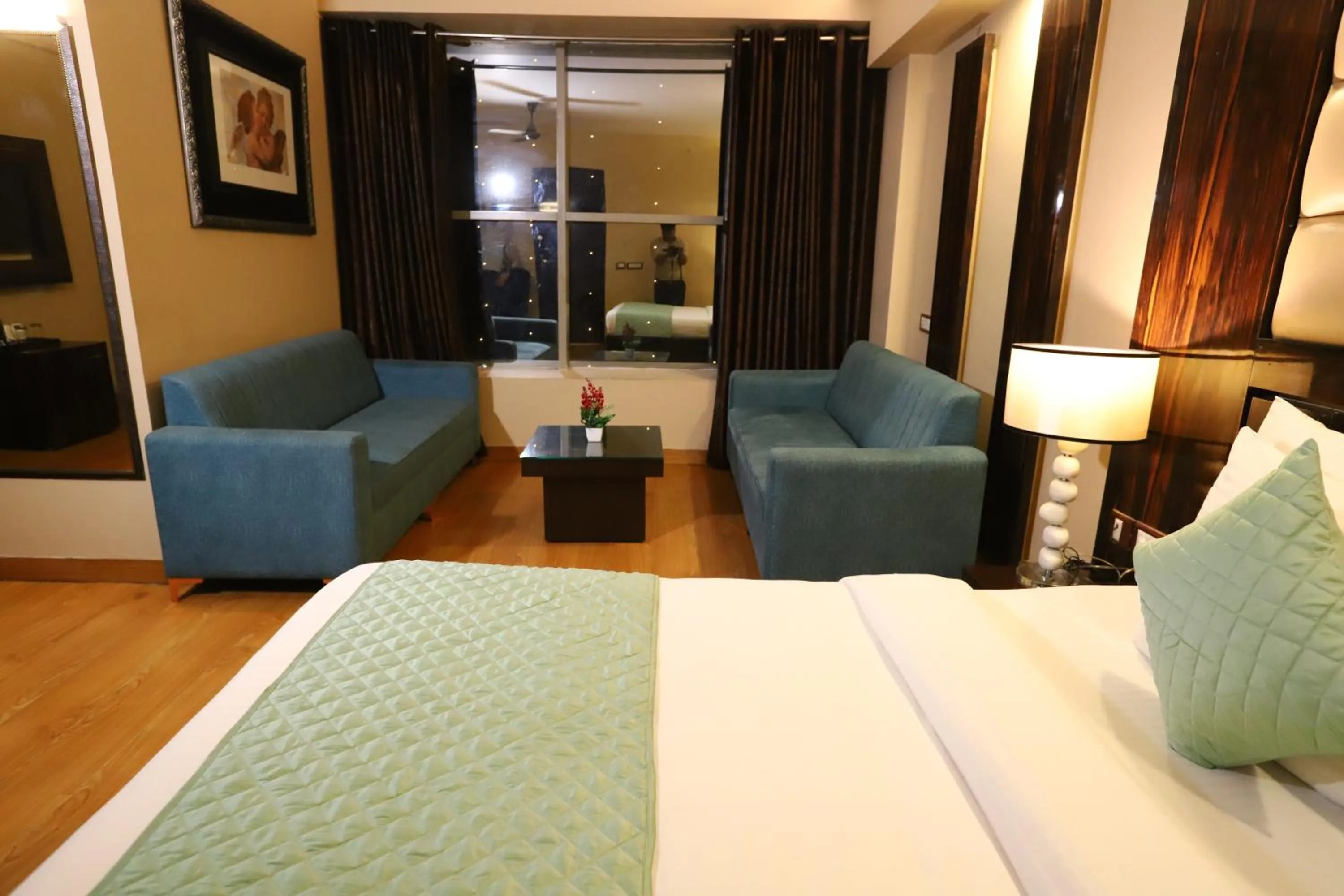 Nightclub / DJ, Bed in Hotel Palm Grand Naraina New Delhi - Couple Friendly Local IDs Accepted