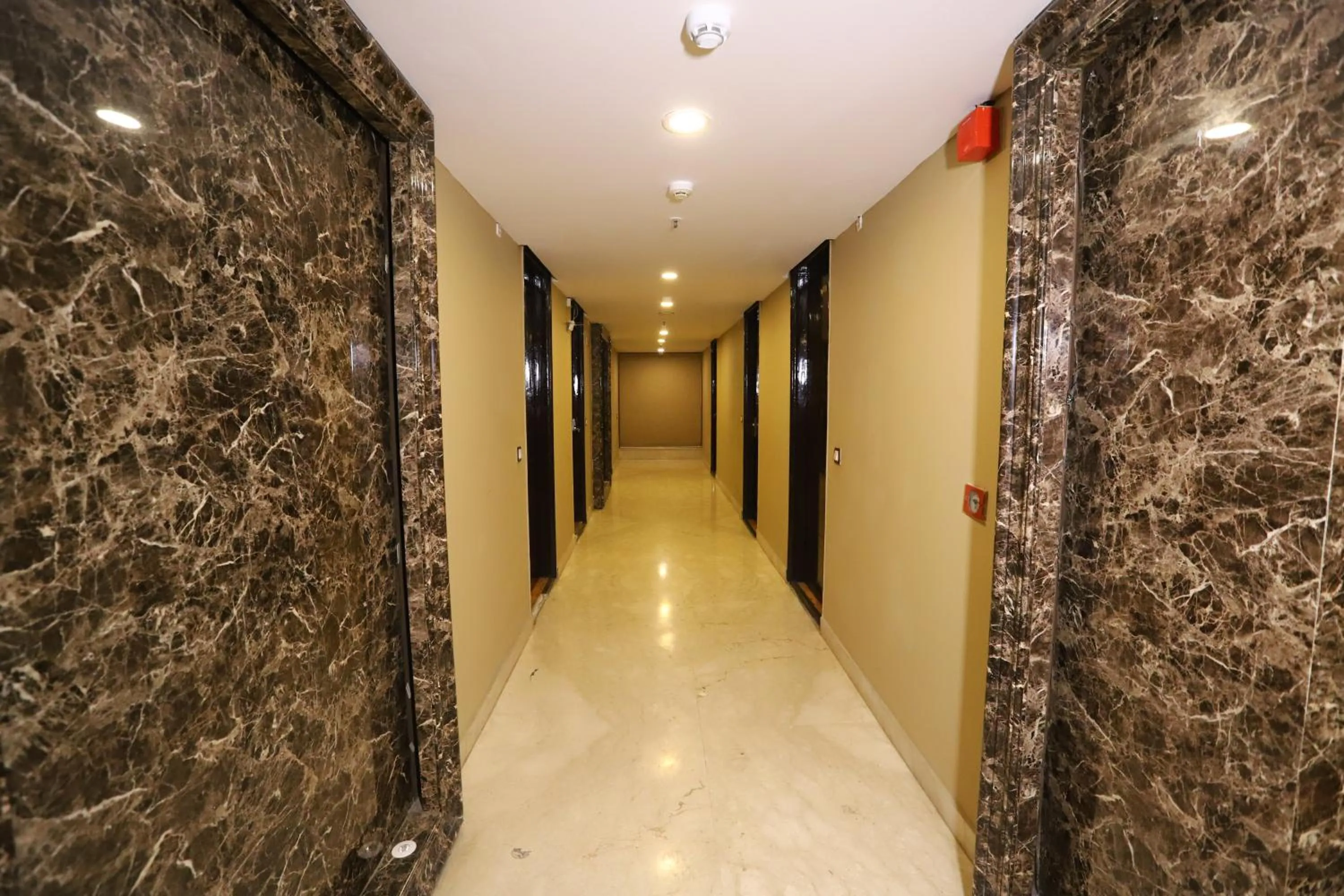 Facade/entrance in Hotel Palm Grand Naraina New Delhi - Couple Friendly Local IDs Accepted