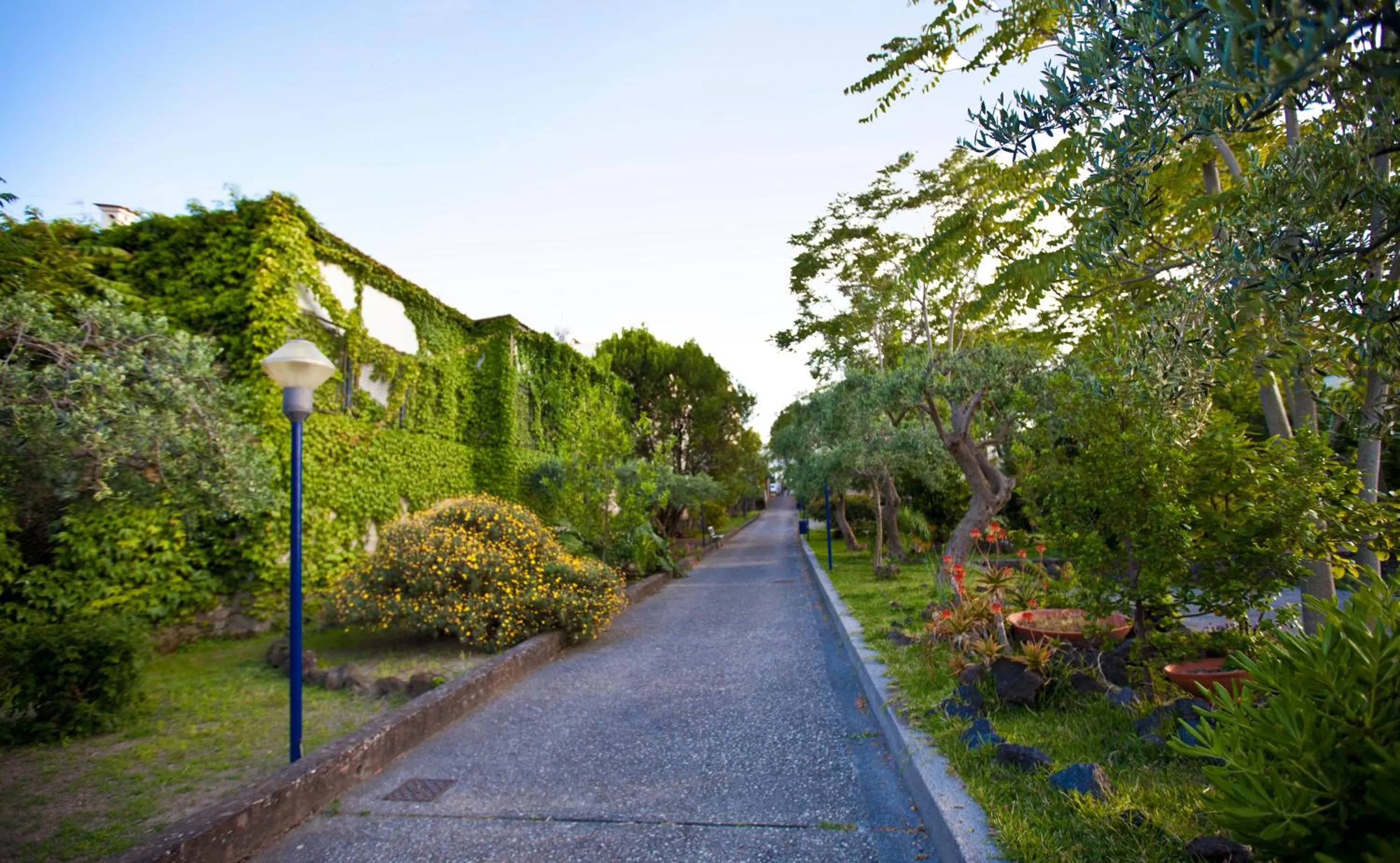Garden in Hotel Terme Alexander