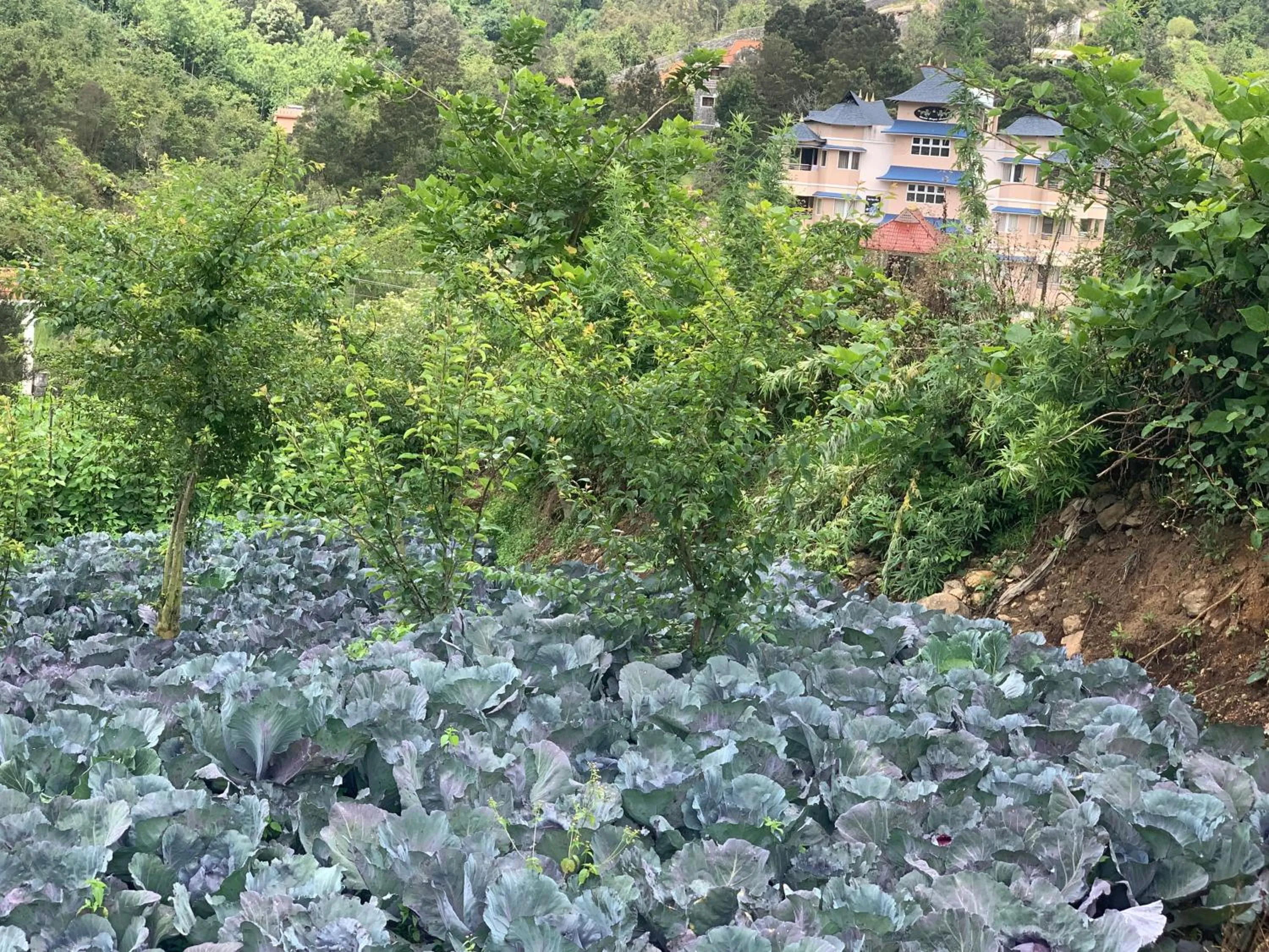 Bogar Palace Kodaikanal