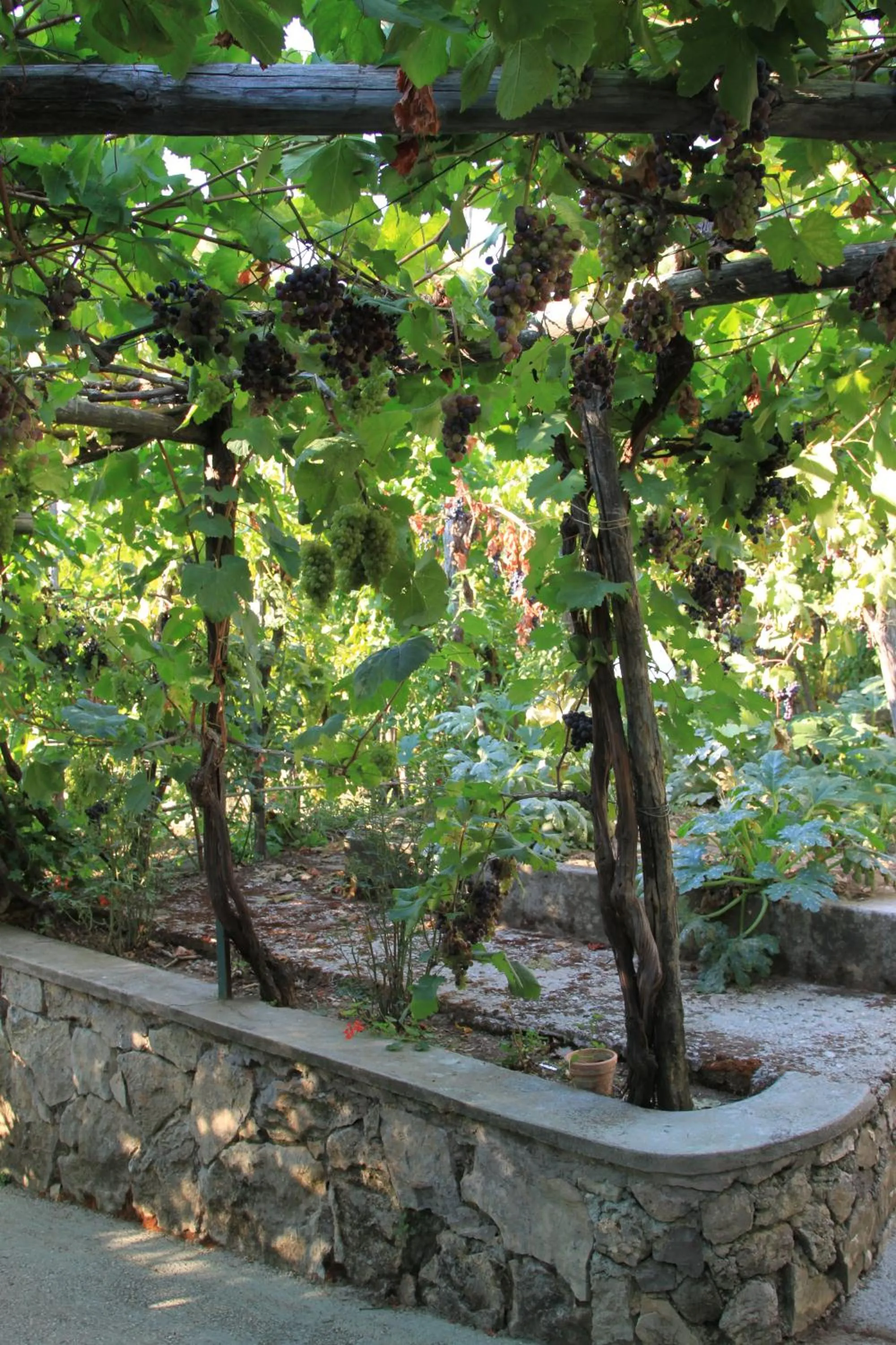 Garden in B&B Il Grappolo