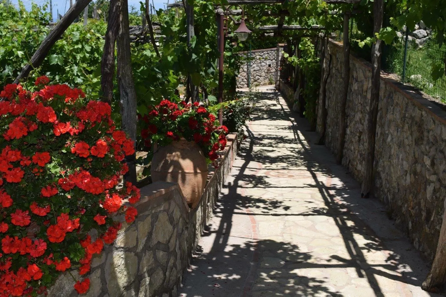 Facade/entrance in B&B Il Grappolo