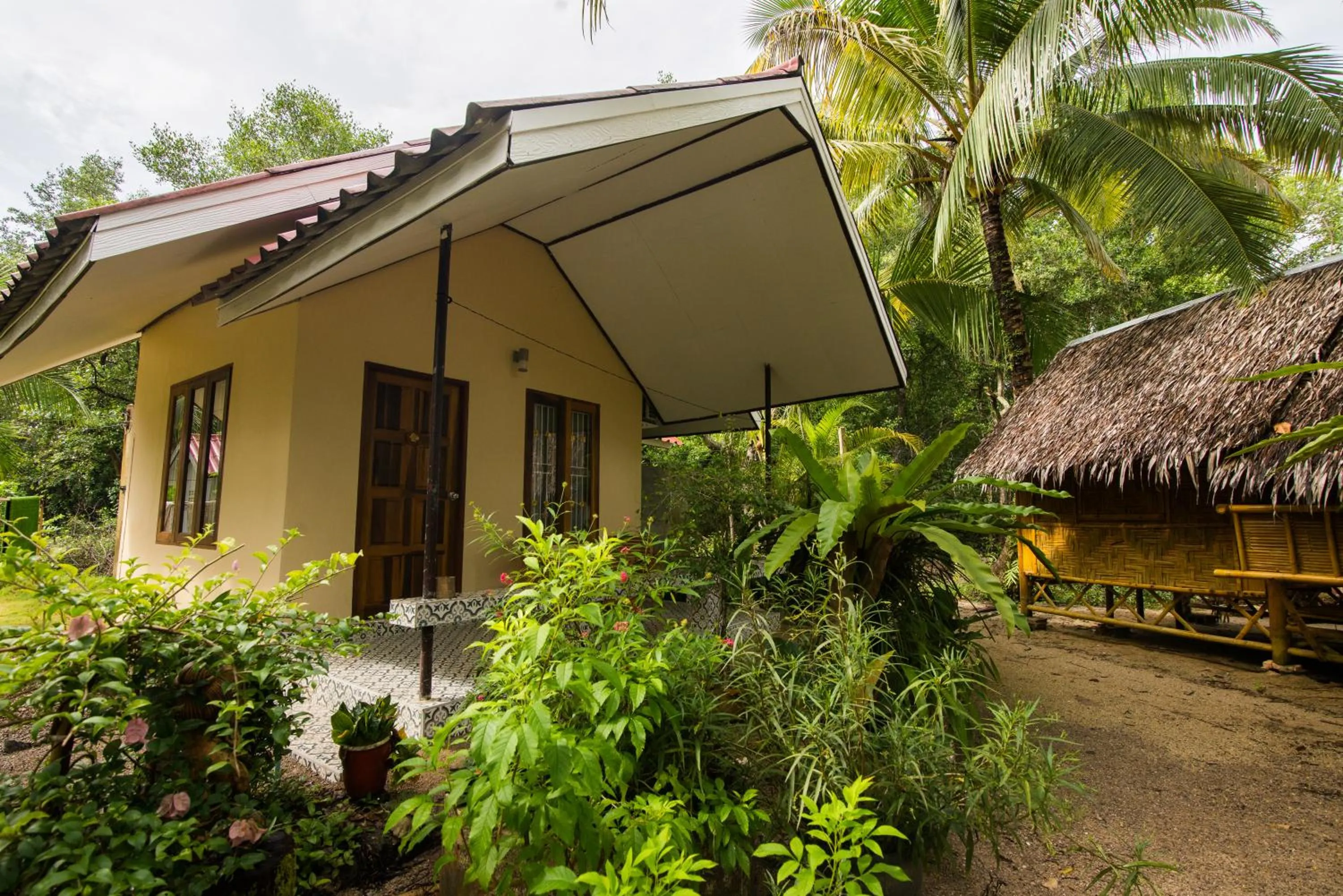 Photo of the whole room in Bananas Resort & Restaurant