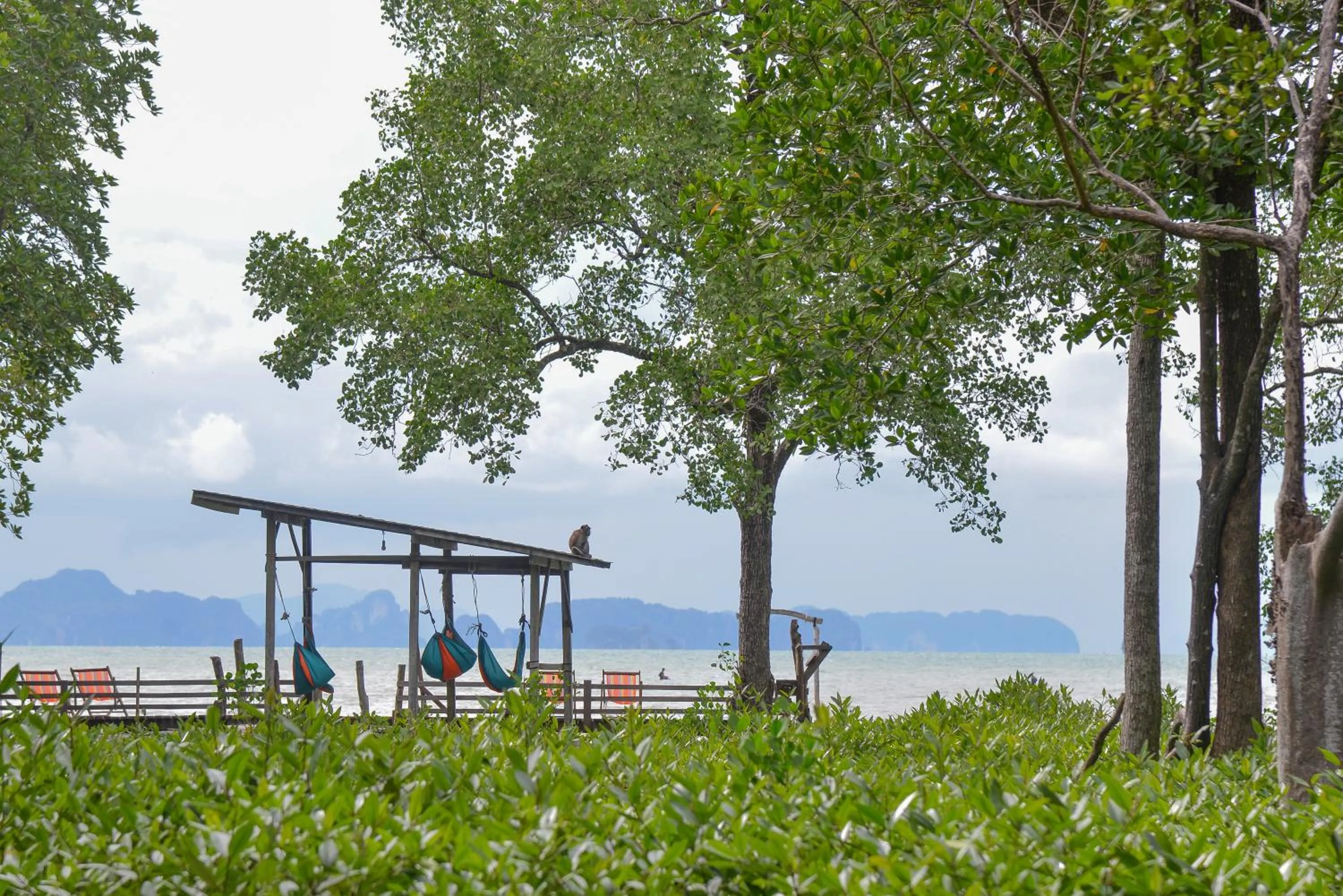 Sea view in Bananas Resort & Restaurant