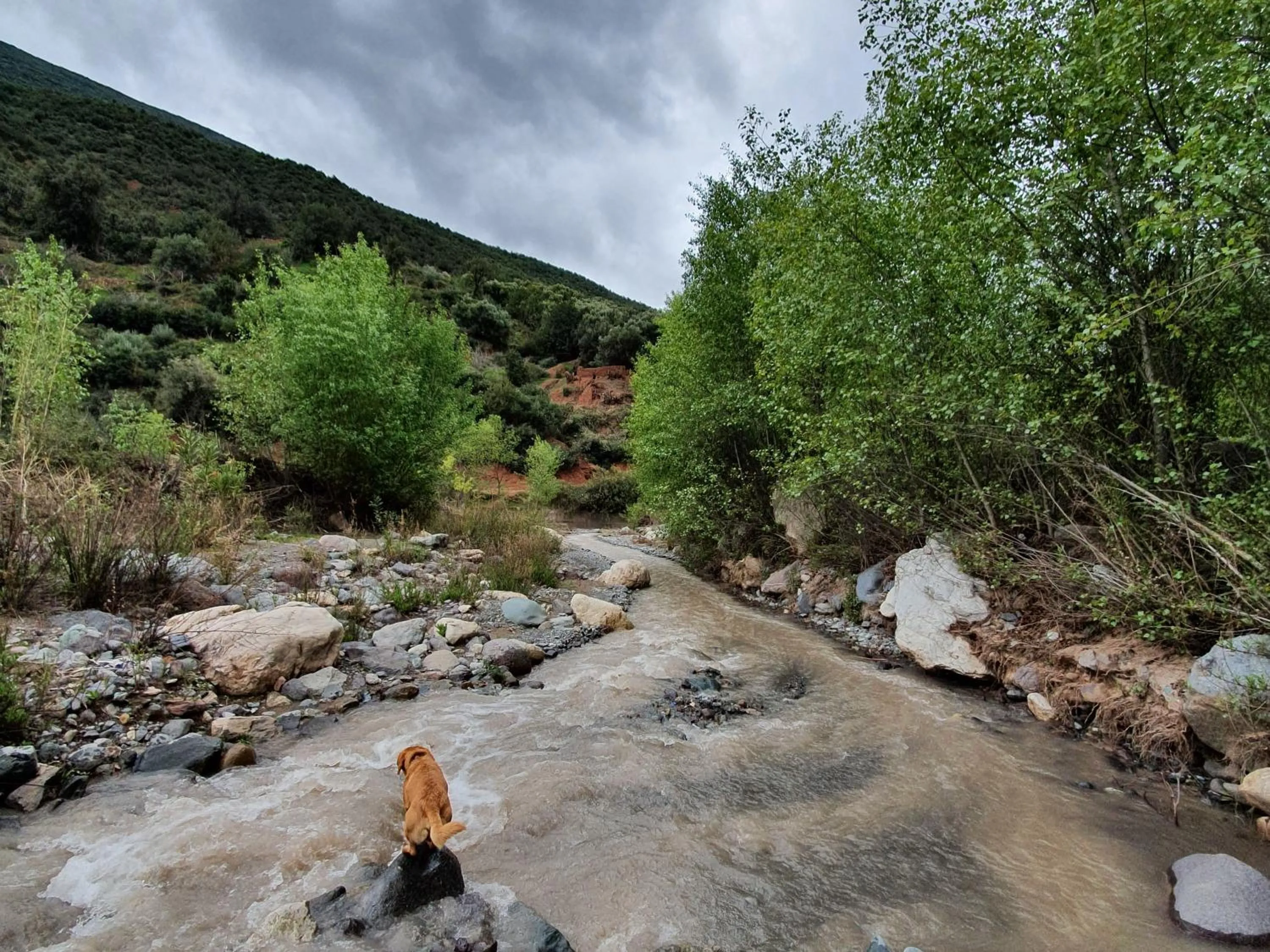 View (from property/room) in Kasbah Africa - High Atlas Dark Sky & Nature Lodge