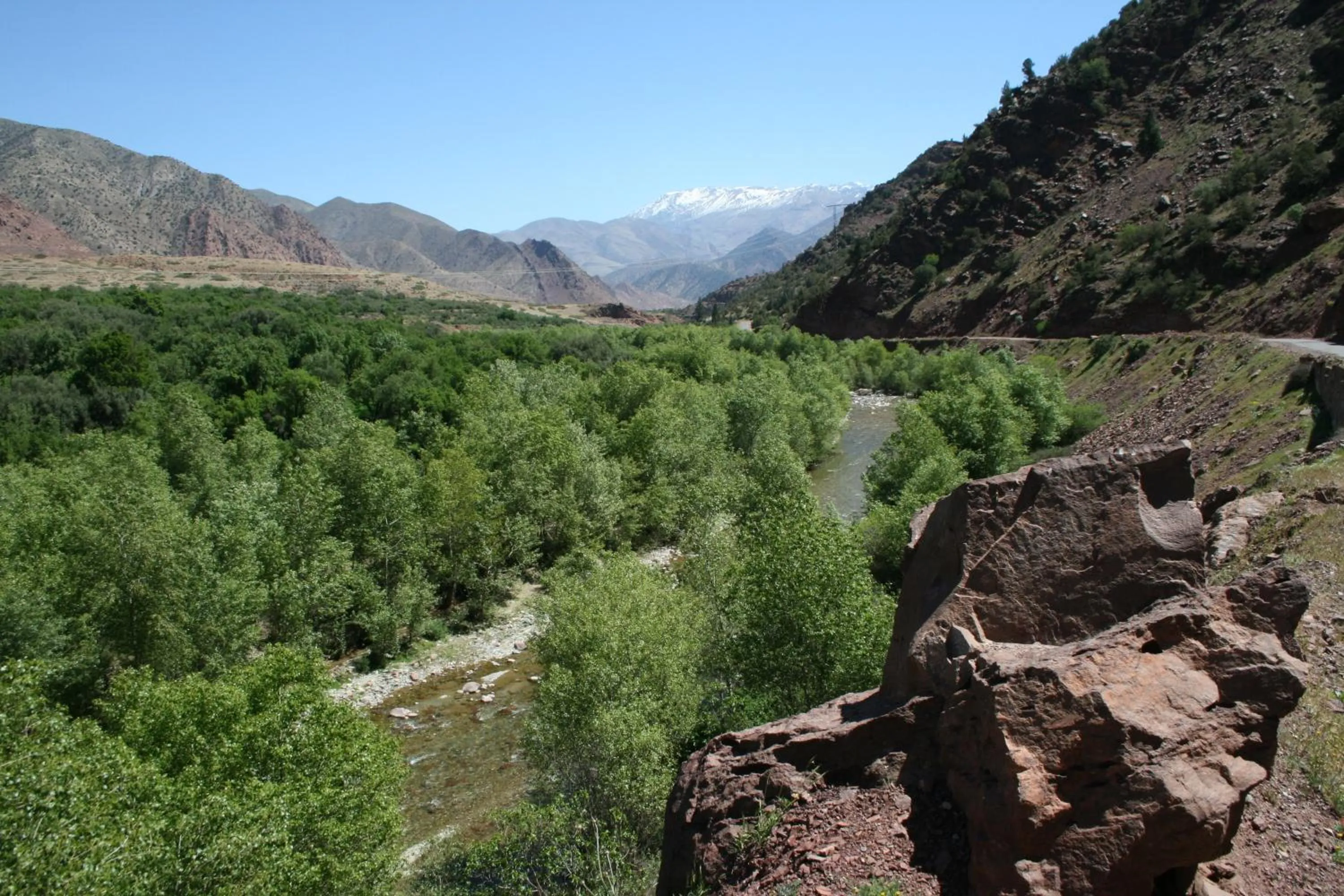 View (from property/room) in Kasbah Africa - High Atlas Dark Sky & Nature Lodge