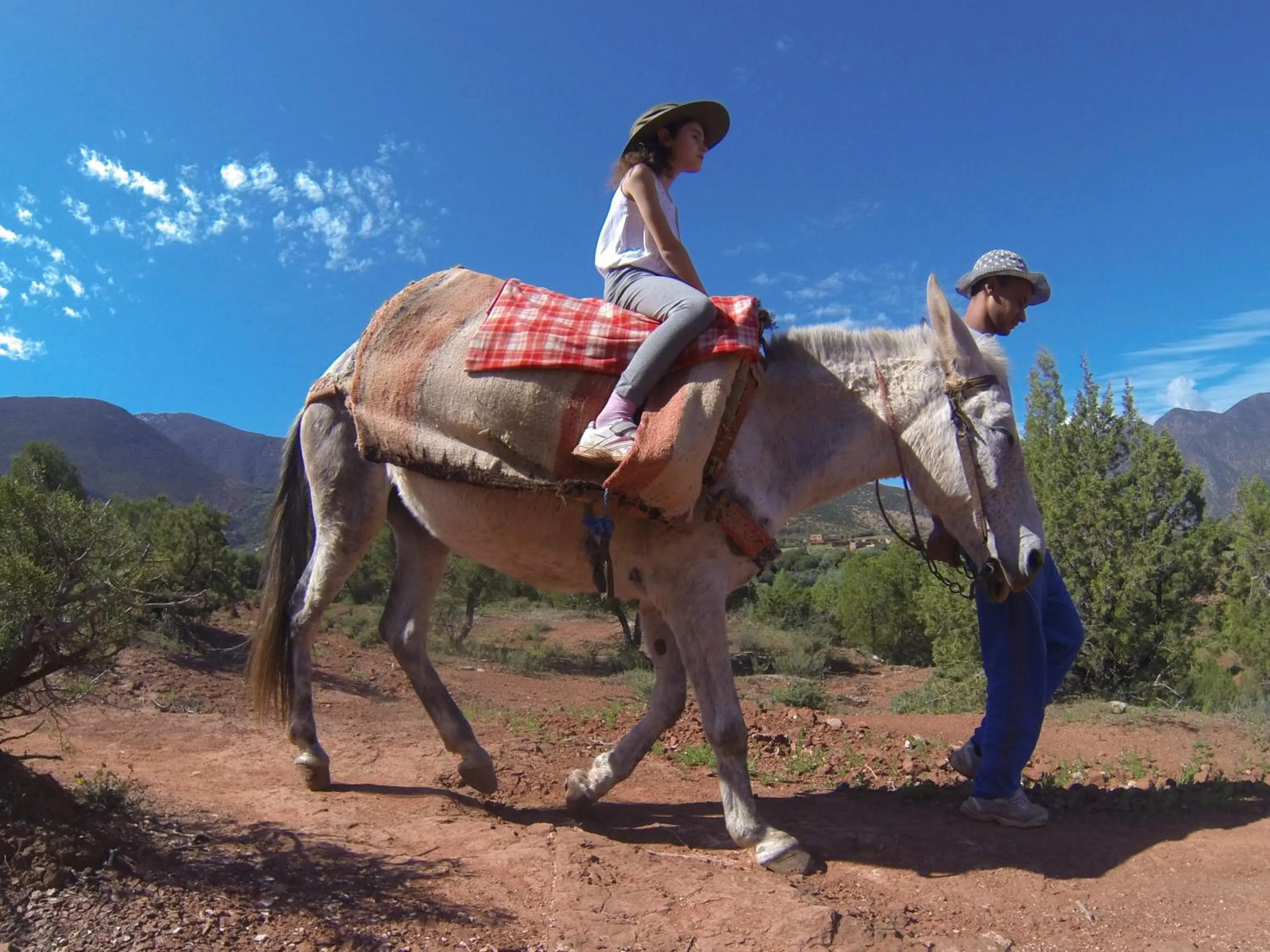 Activities in Kasbah Africa - High Atlas Dark Sky & Nature Lodge