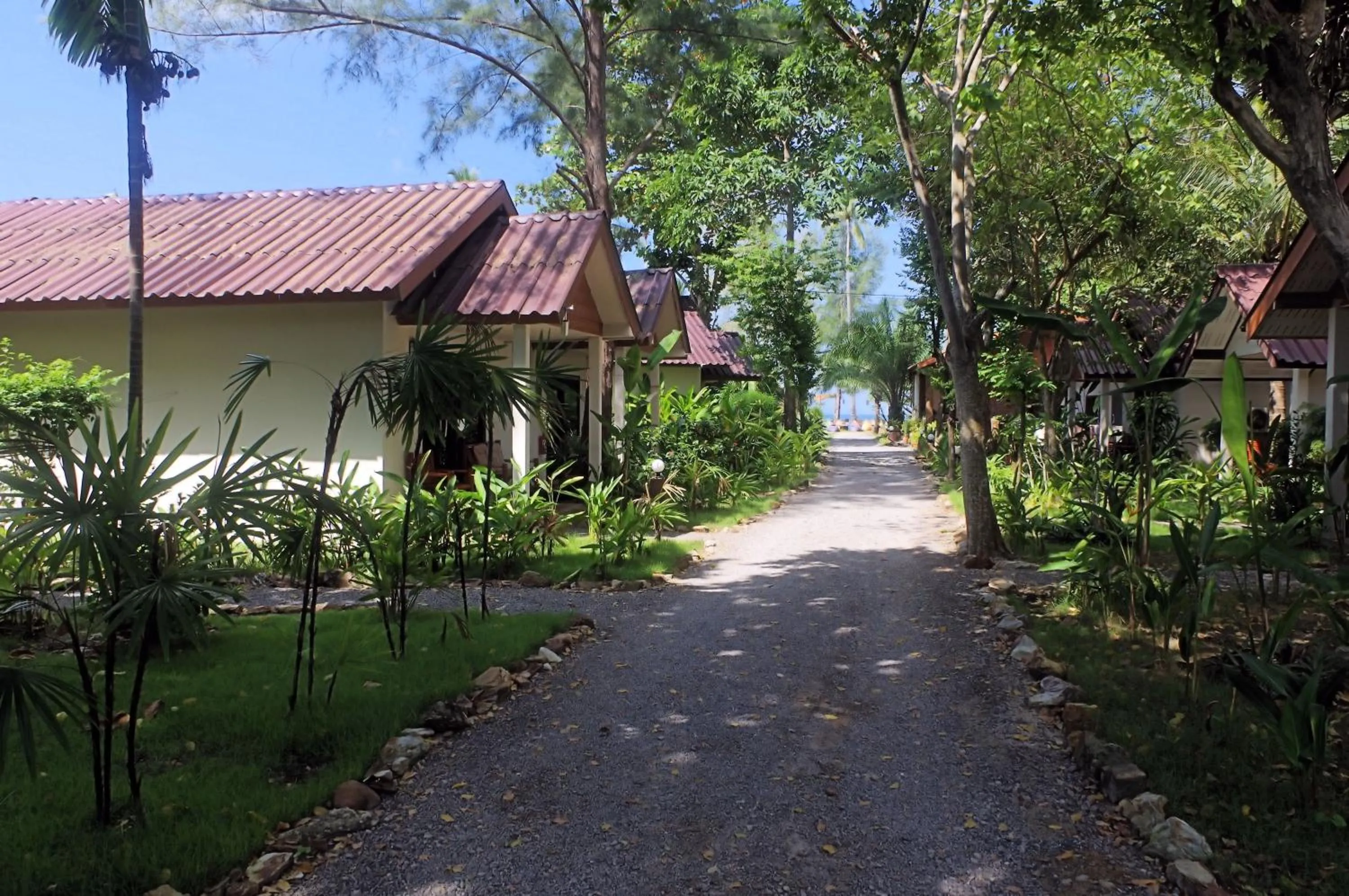 Garden in Thai House Beach Resort