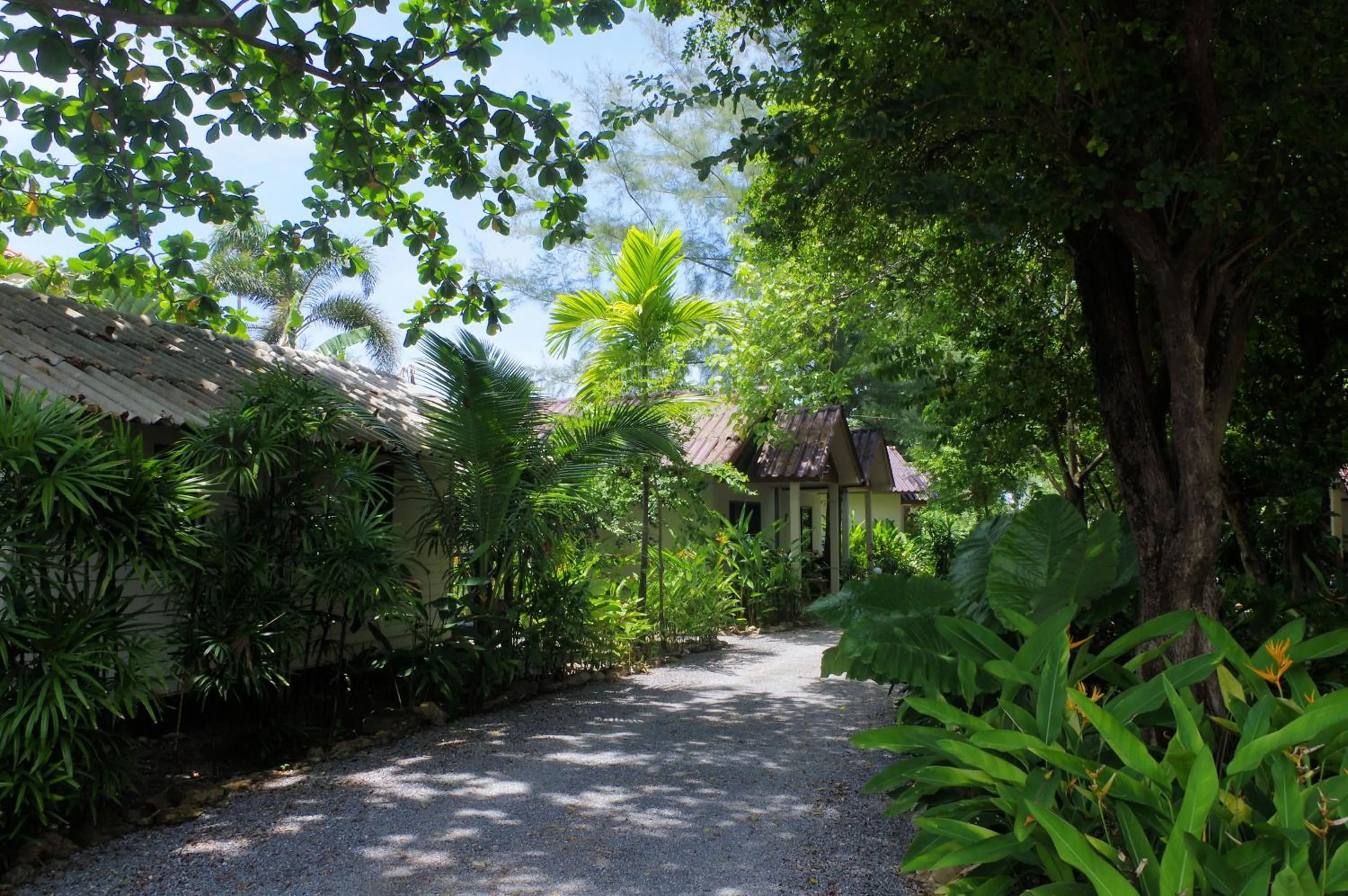 Garden in Thai House Beach Resort