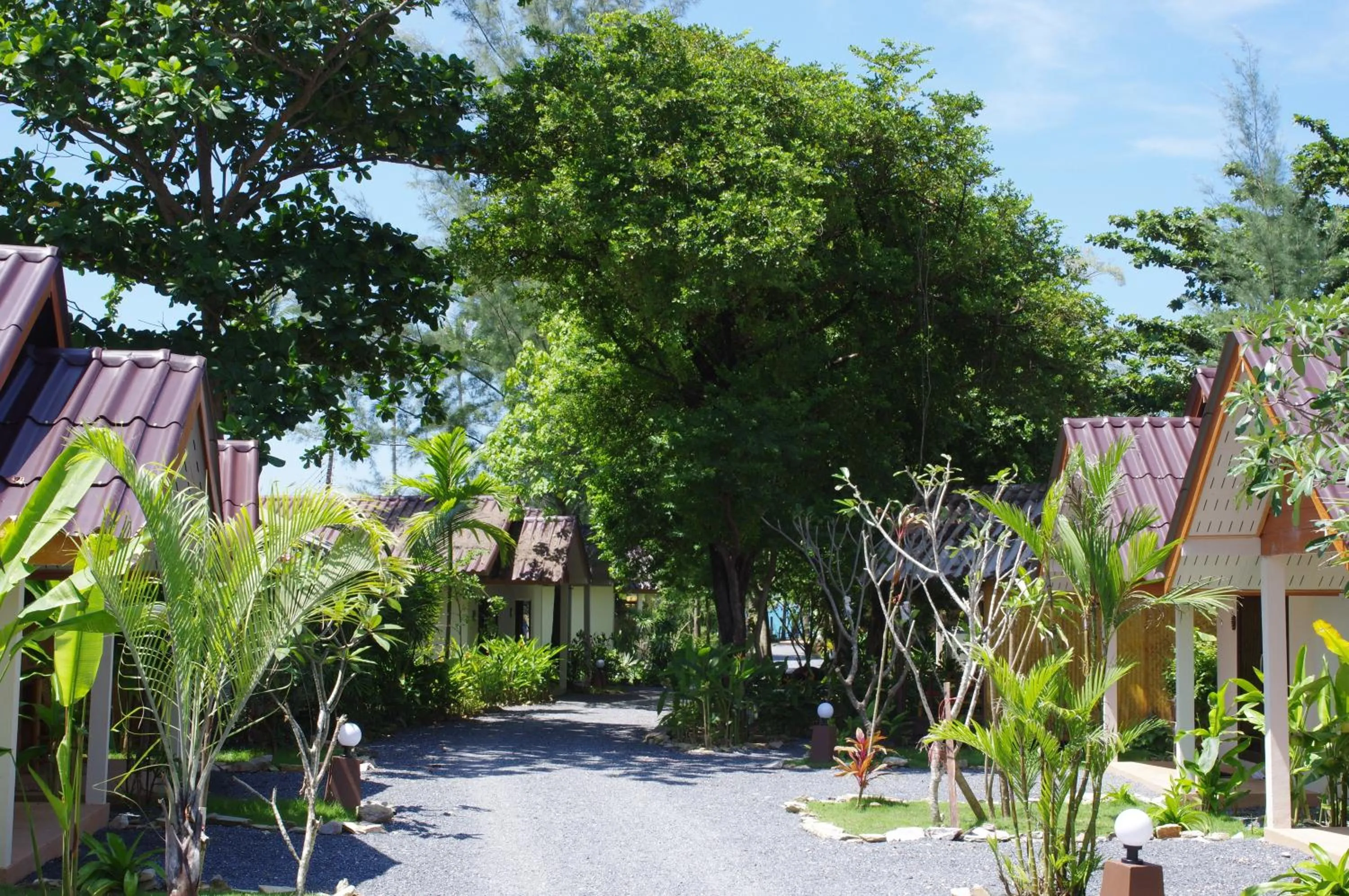 Garden view in Thai House Beach Resort