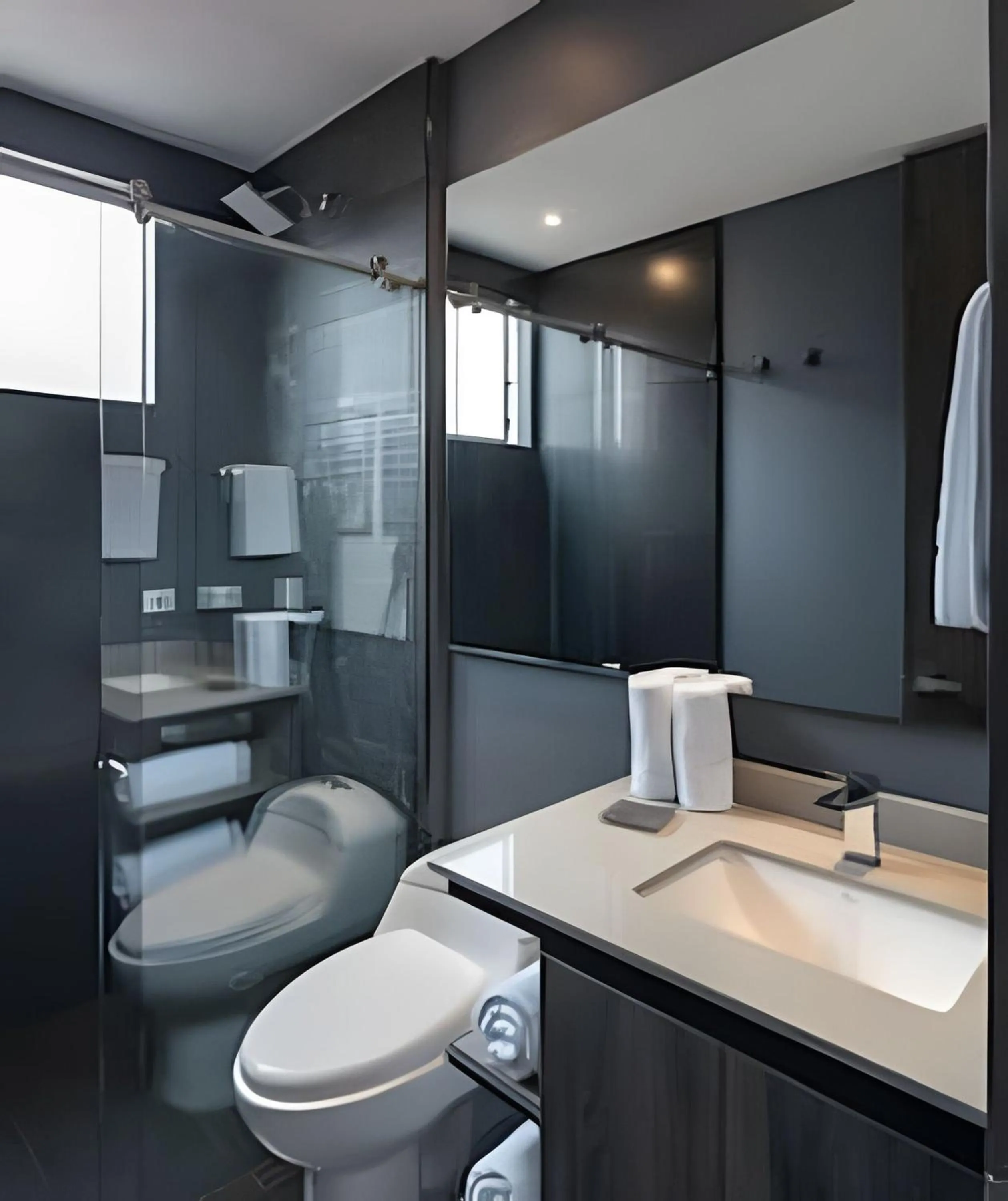 Toilet in Edificio Morph Chico