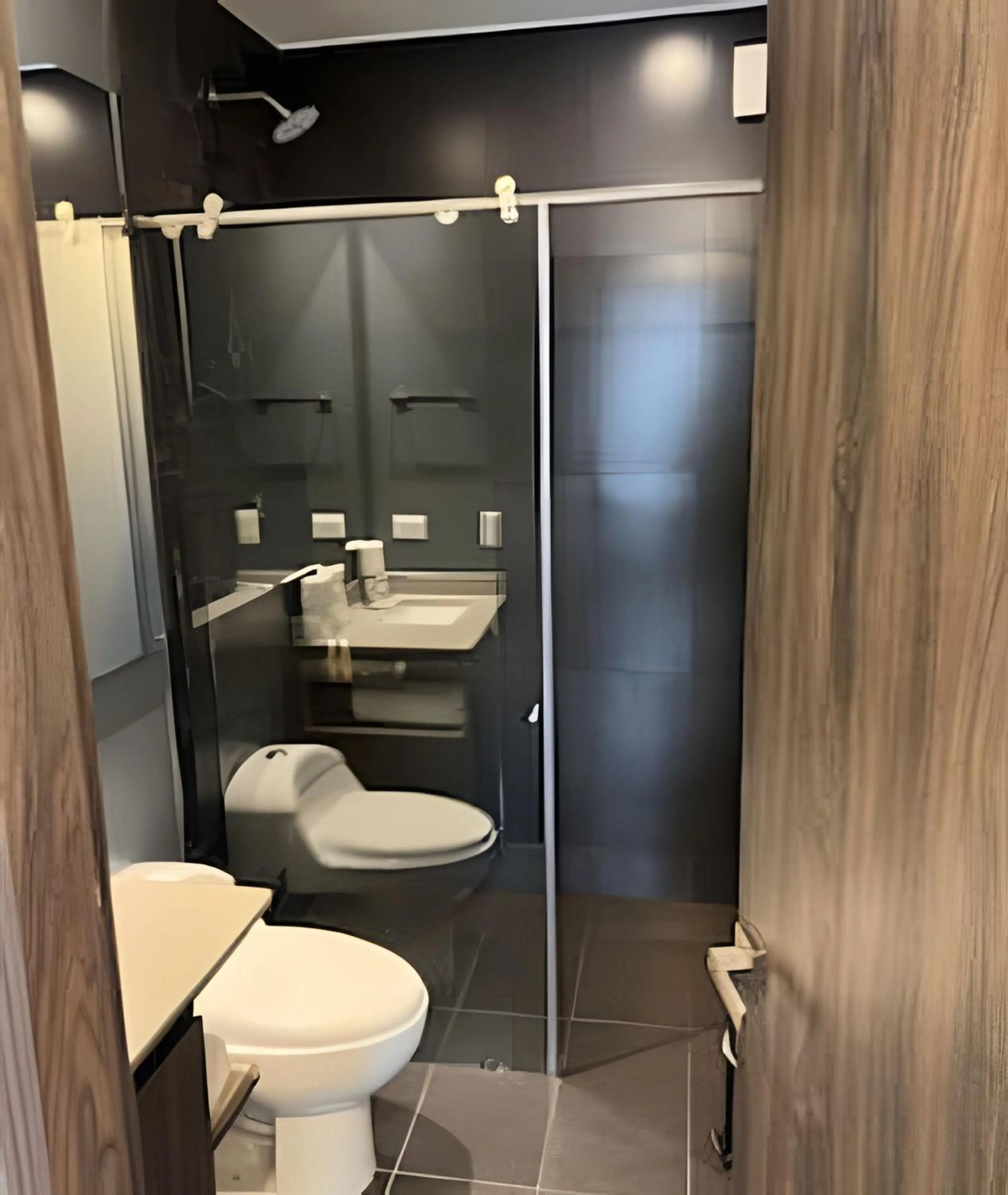 Toilet in Edificio Morph Chico