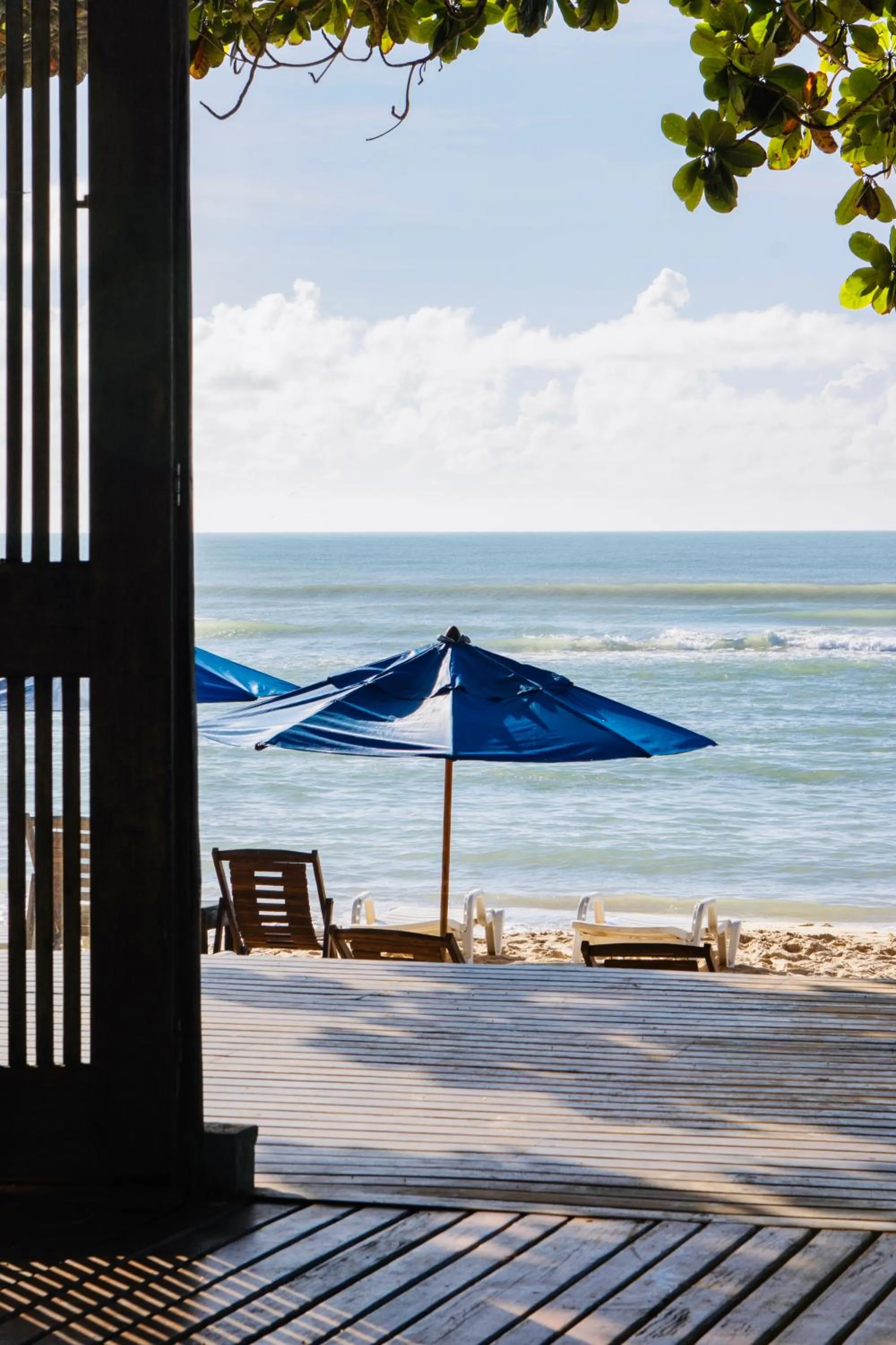 Natural landscape in Santorini Beach Hotel