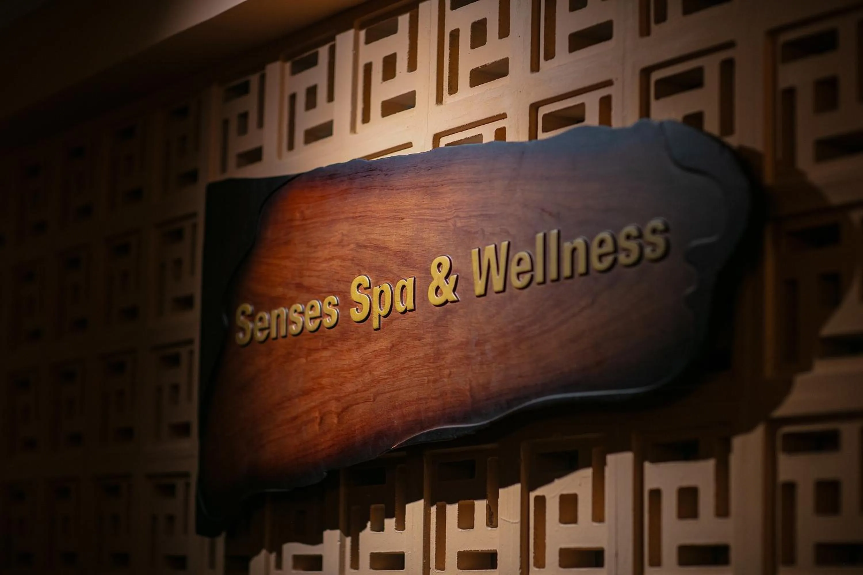 Spa and wellness centre/facilities in LeaH Silk Hotel