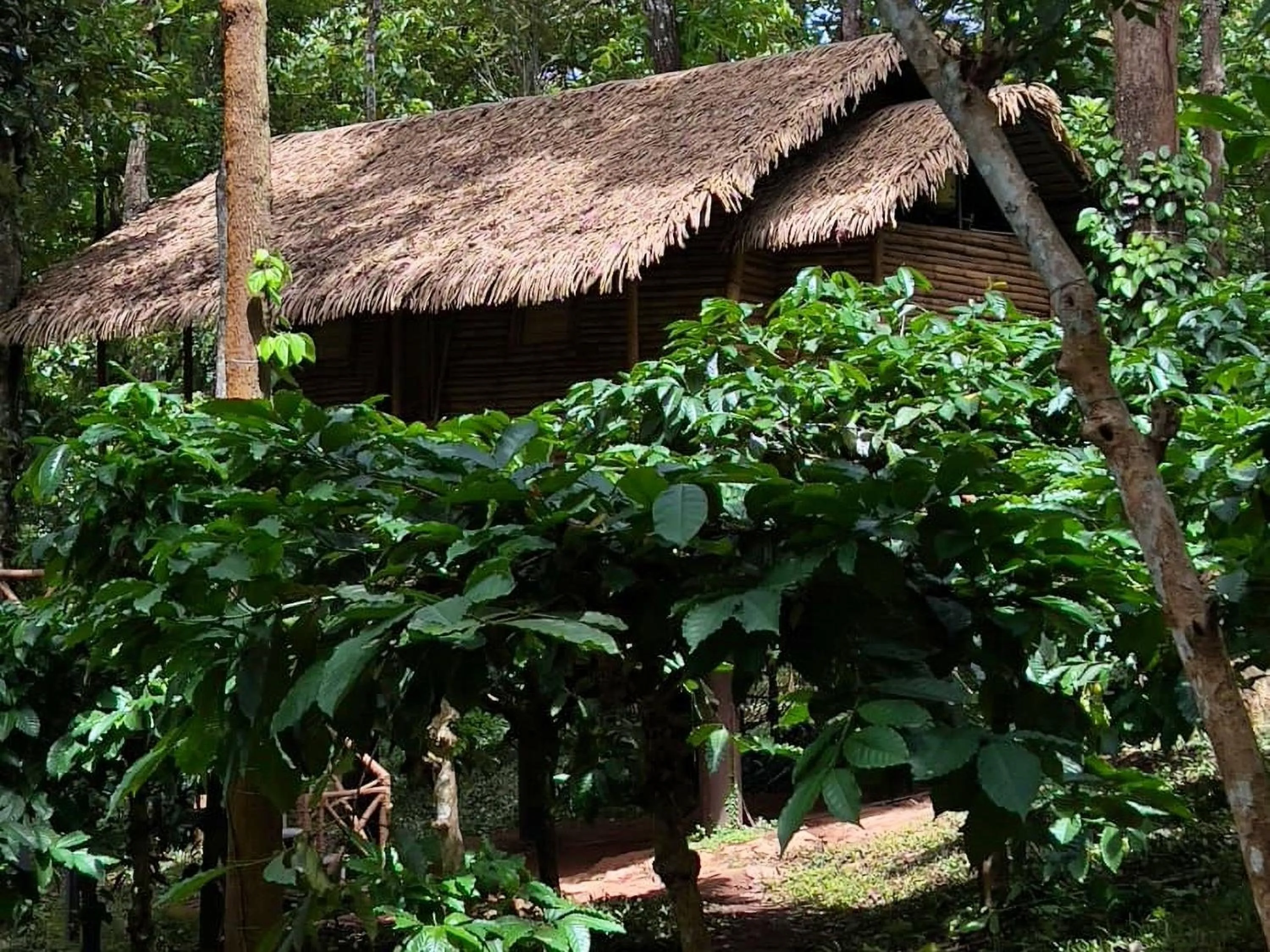 Property building in Adrak Mountain Mist Forest Resort
