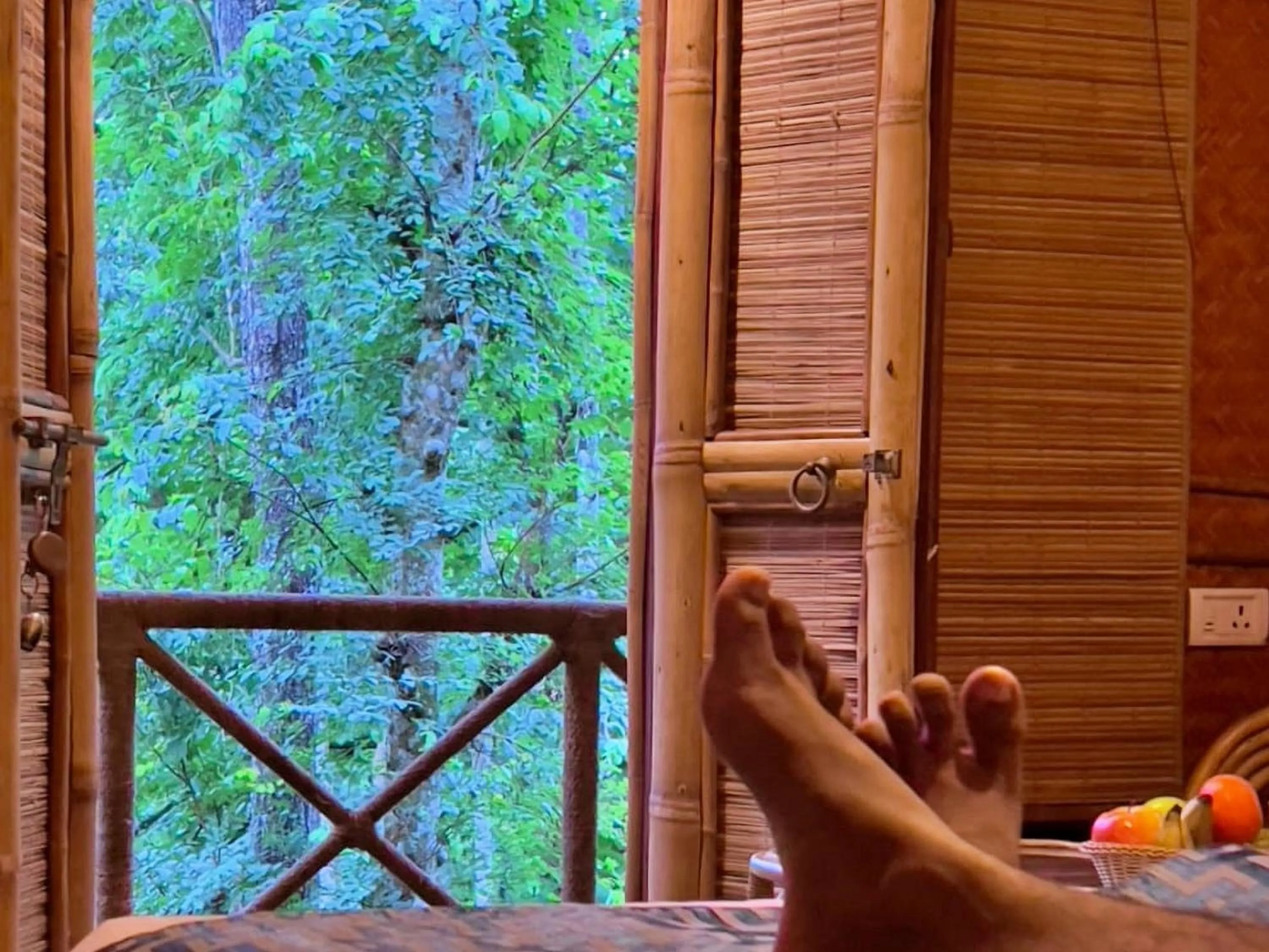 Garden view in Adrak Mountain Mist Forest Resort