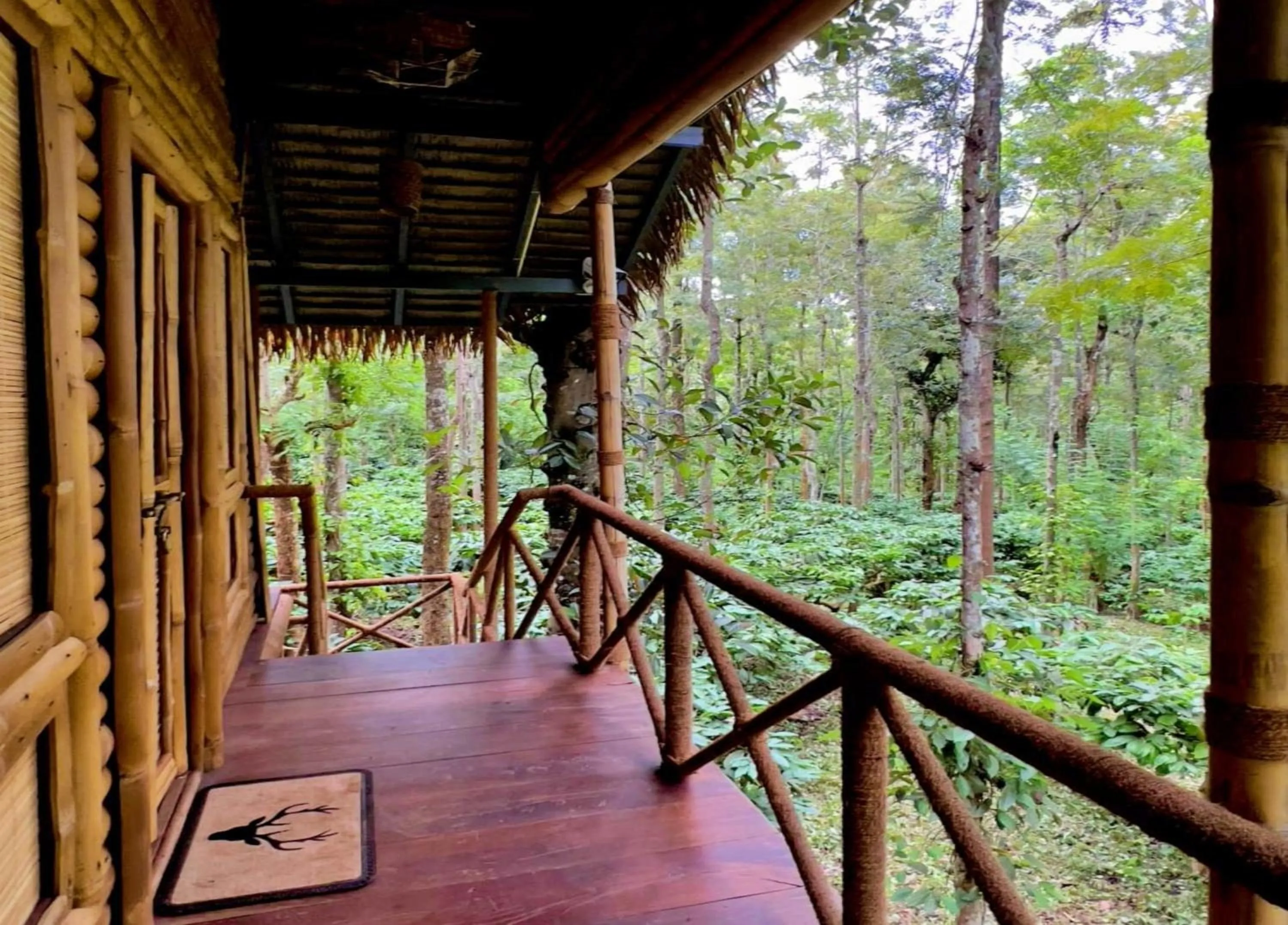 Balcony/Terrace in Adrak Mountain Mist Forest Resort