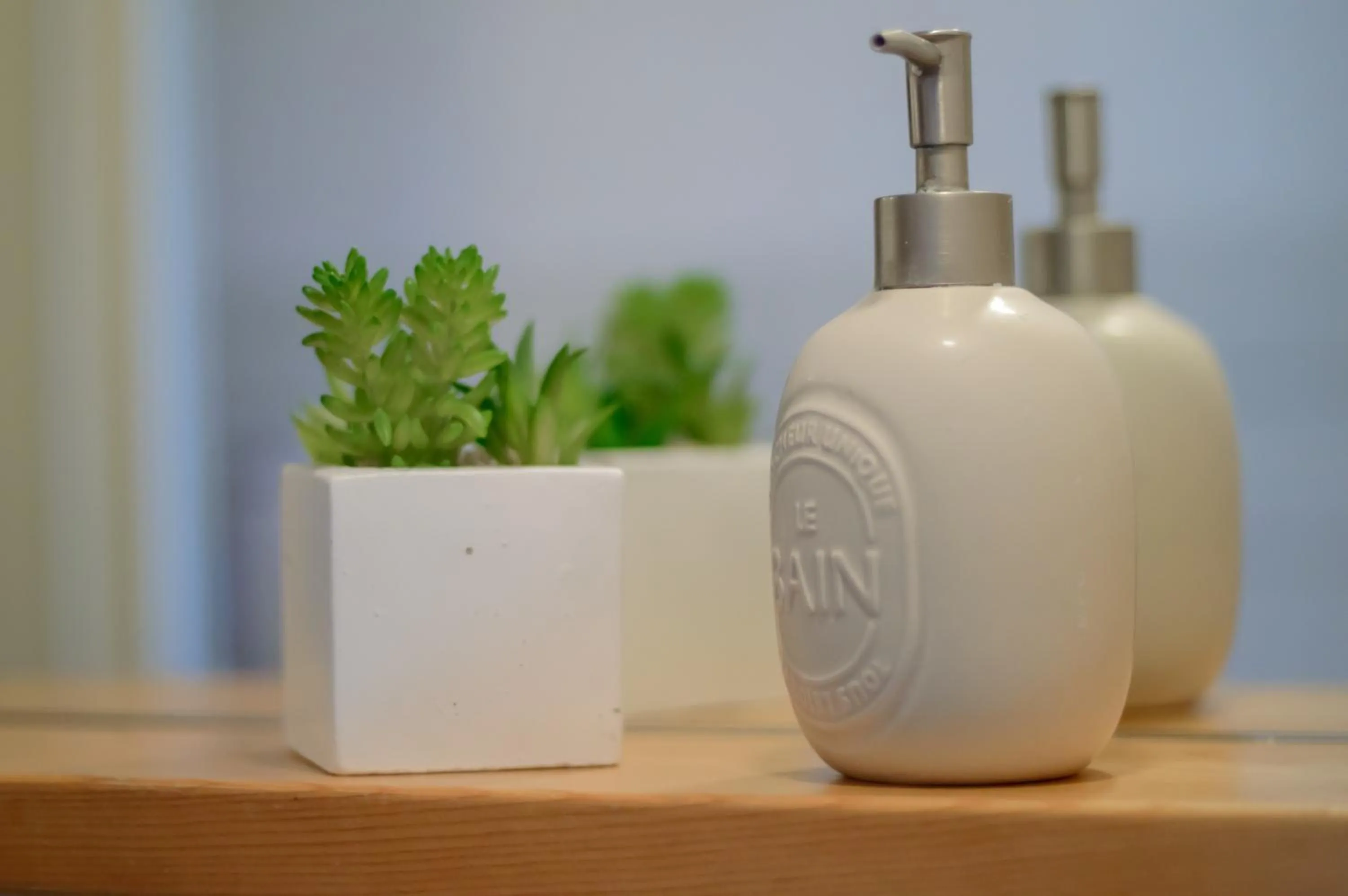 Homelink Firenze - Charlotte