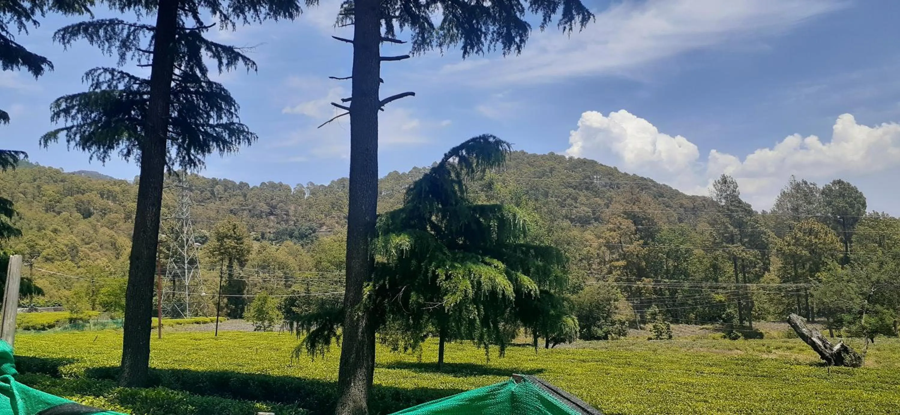 Nearby landmark in Hotel Goludev Valley View