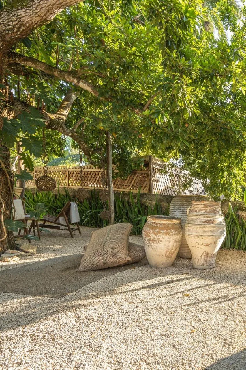 Patio in Casa Kacaya
