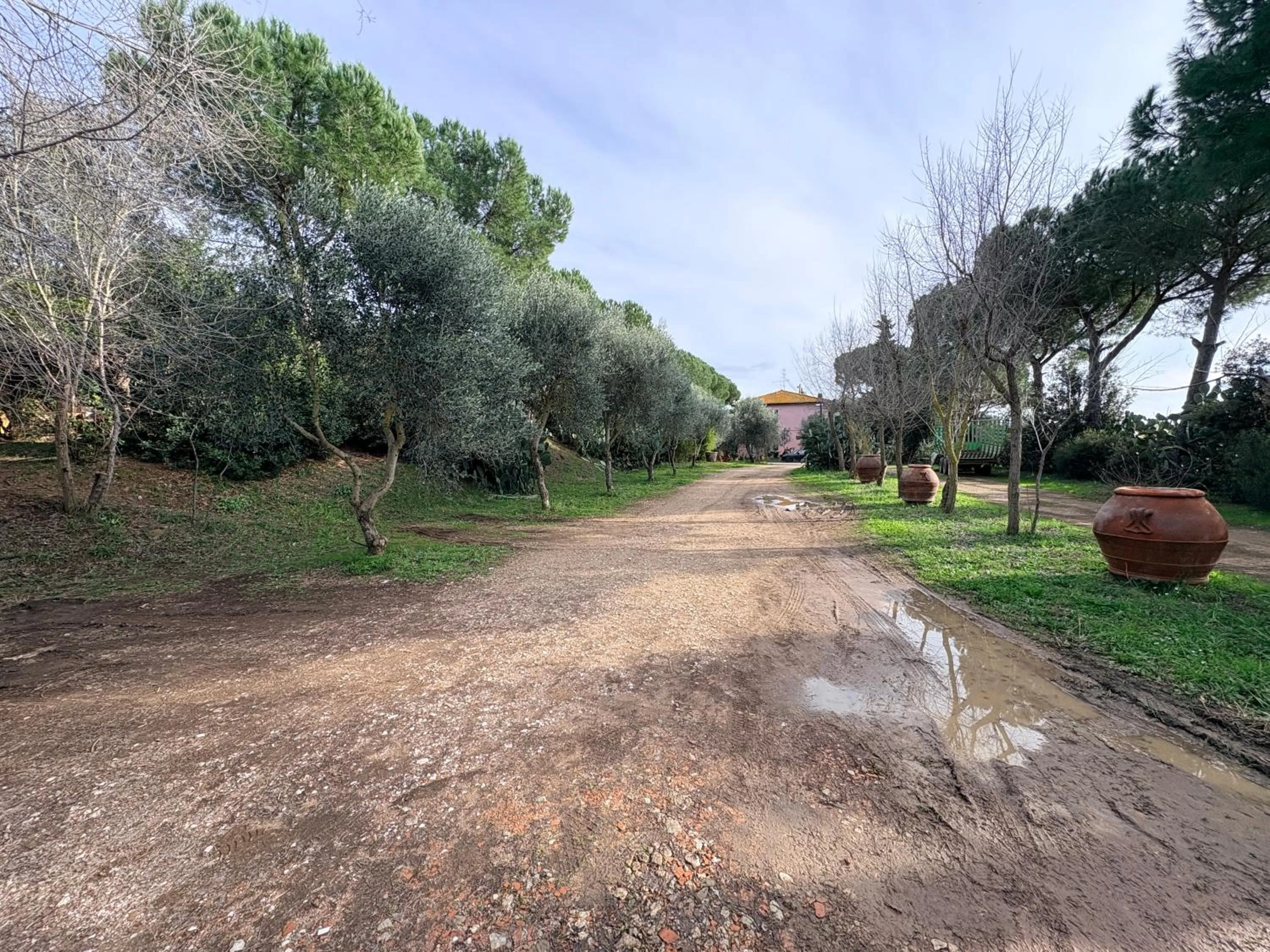Natural landscape in Agriturismo Porta al Colle