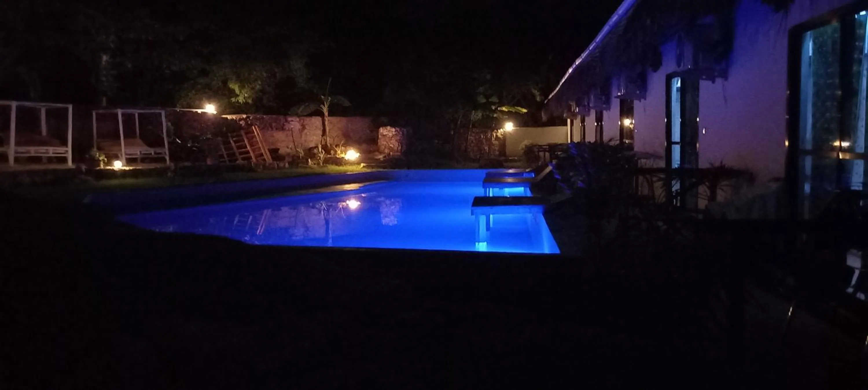 Night in Tropicana Garden