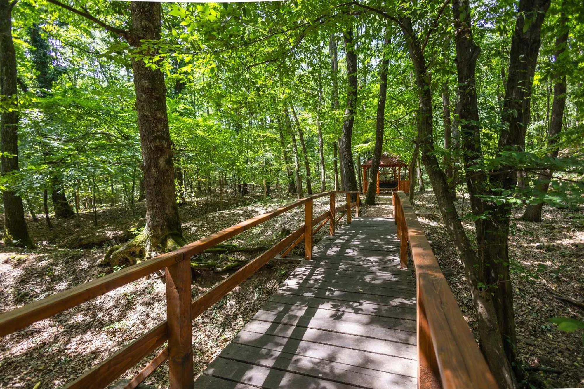 Natural landscape in 4 Évszak Völgyhotel