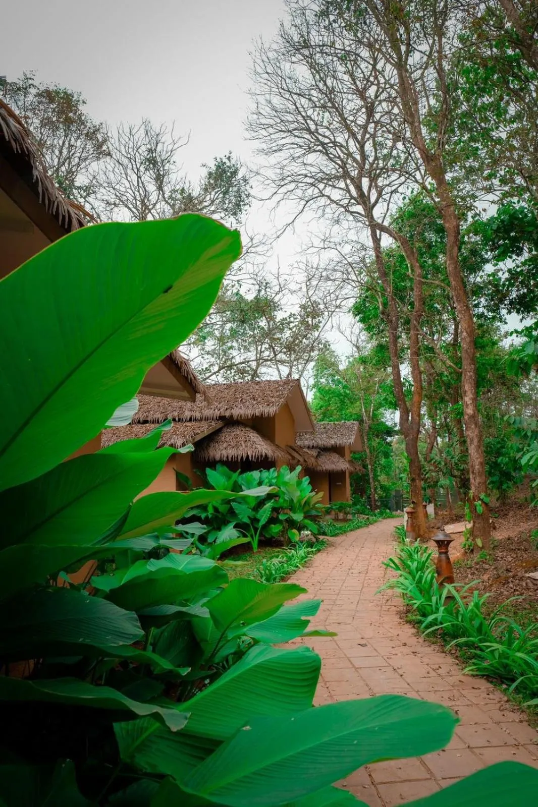 Property building in Maple Ash Resort